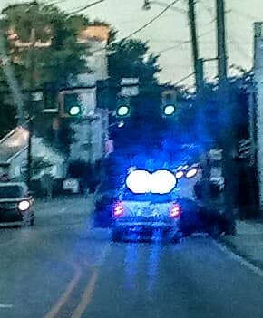 Victorian Brownstone Architecture