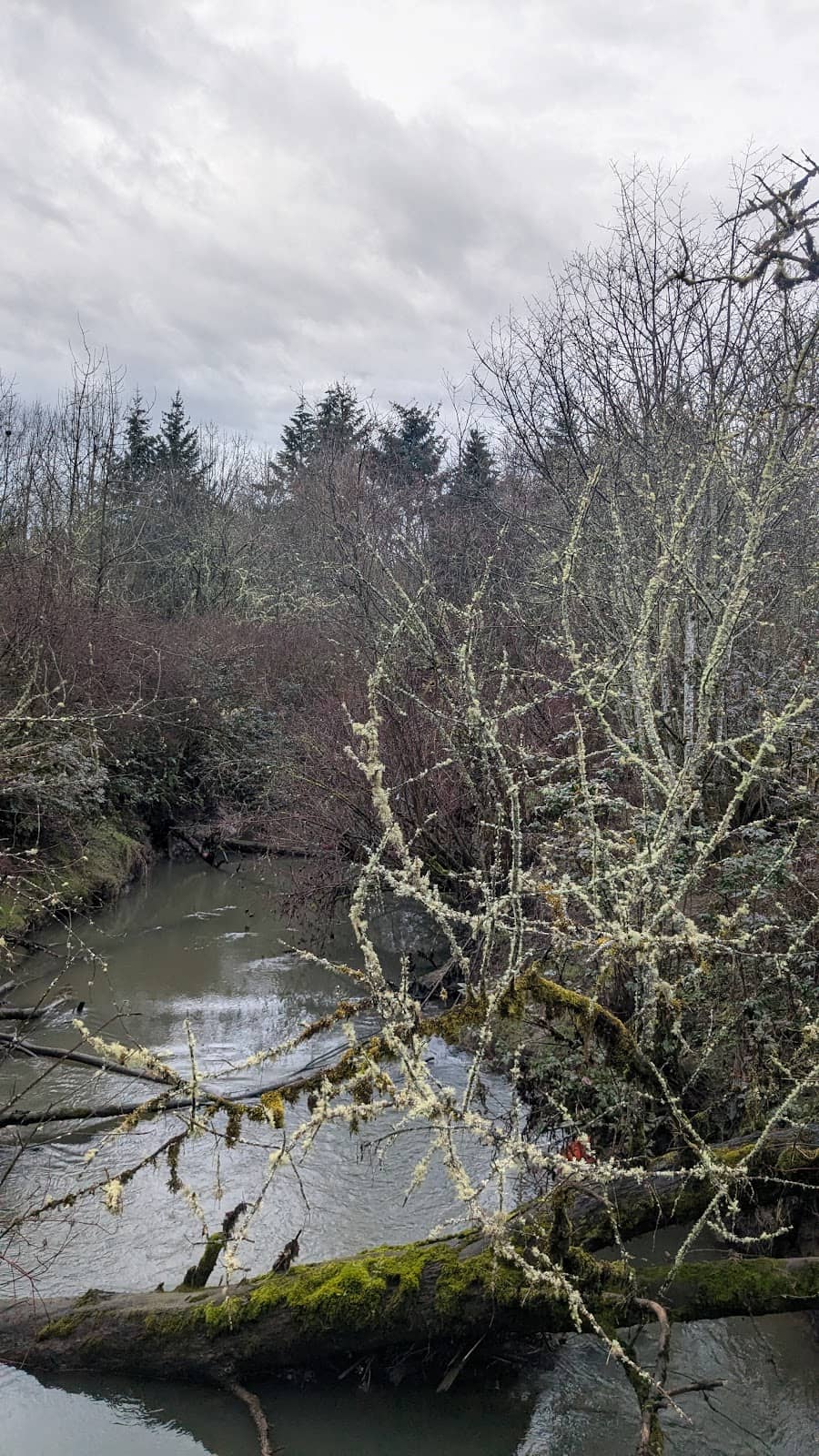 Connecting Green Spaces