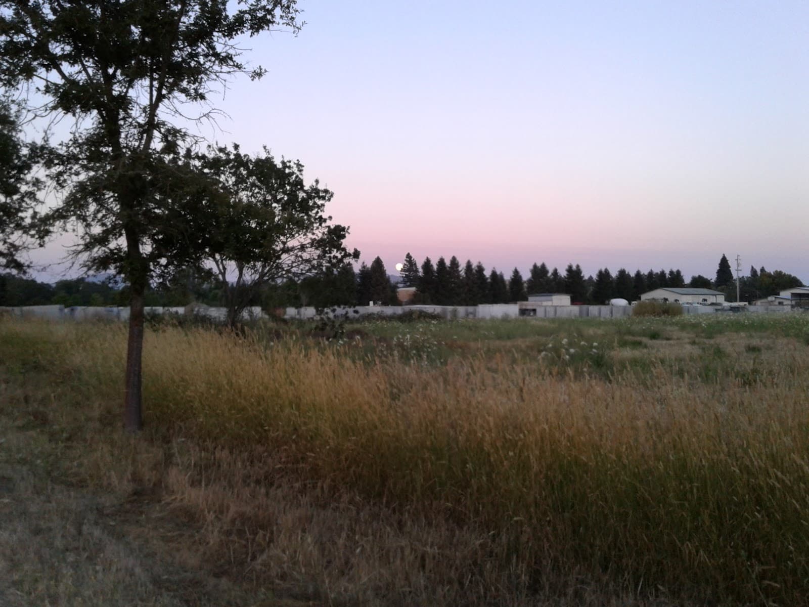Joe Rodota Trail - Image 1