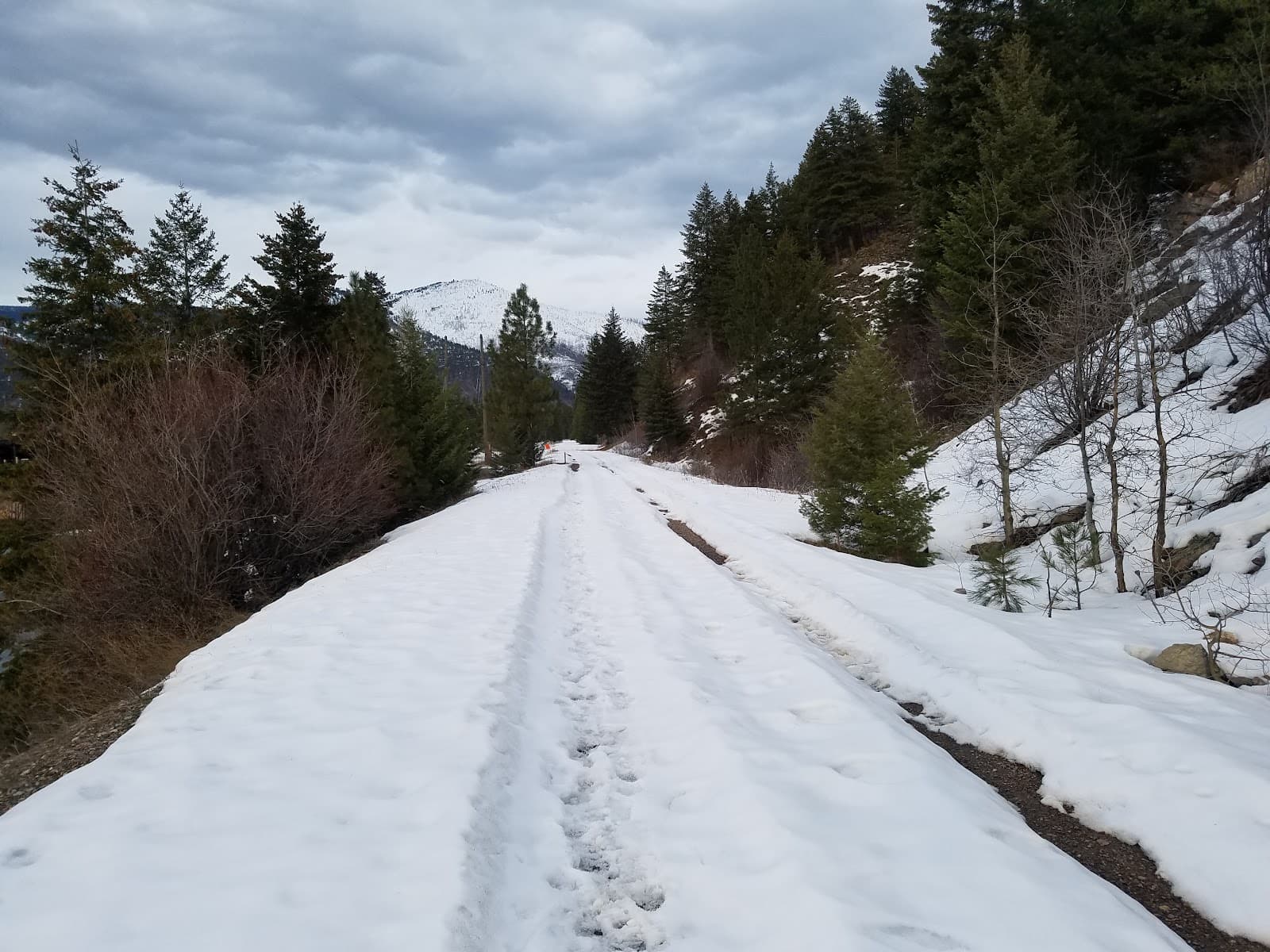 Kim Williams Trail - Image 1