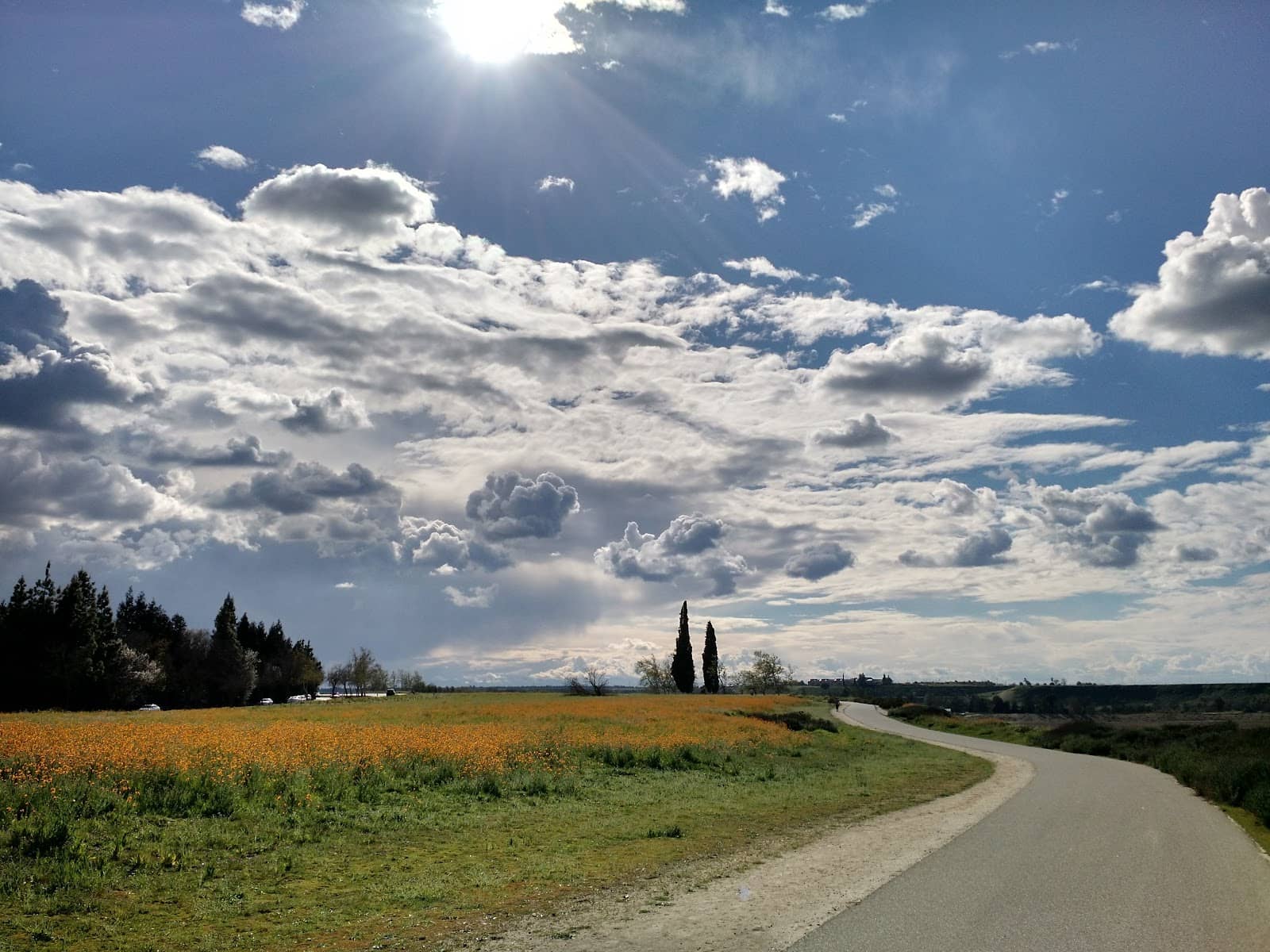 Vertical photo