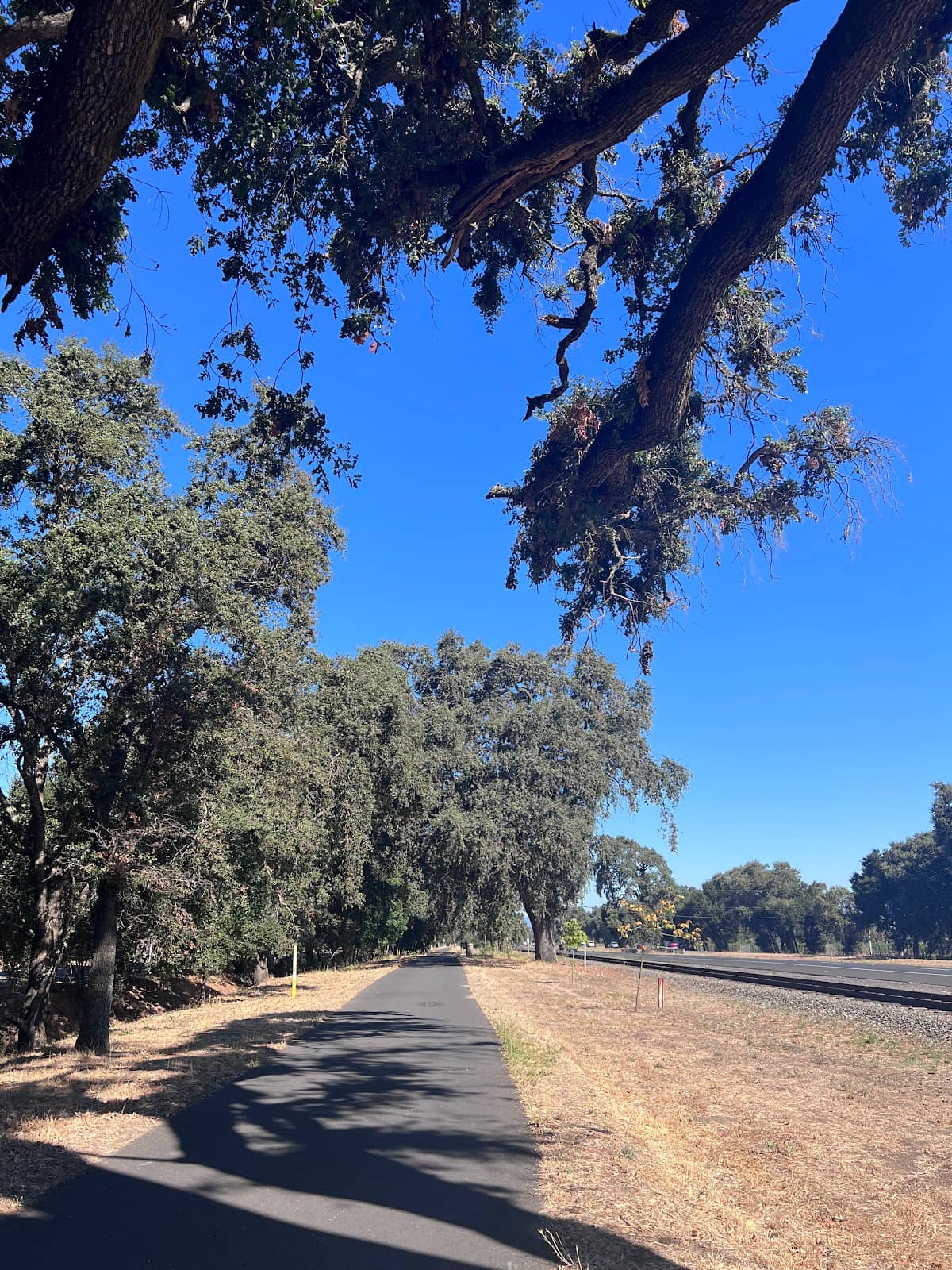 Downtown Napa Exploration