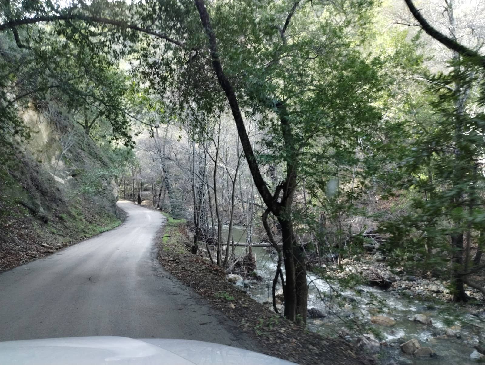 Peaceful Countryside Drive