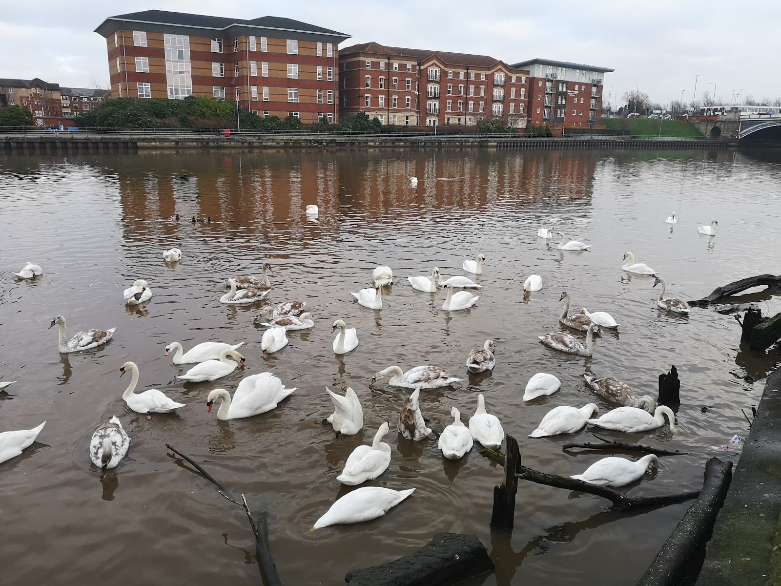 Victoria Bridge (Stockton) - Image 1