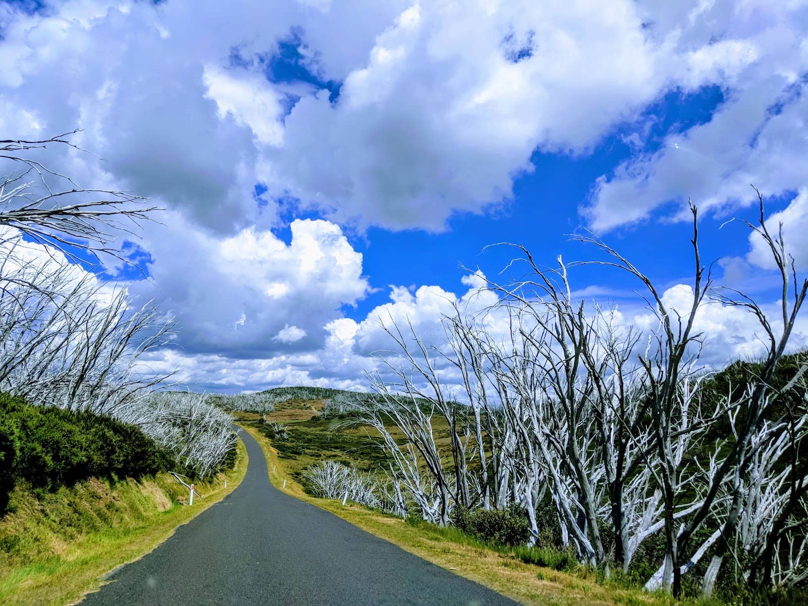 Vertical photo