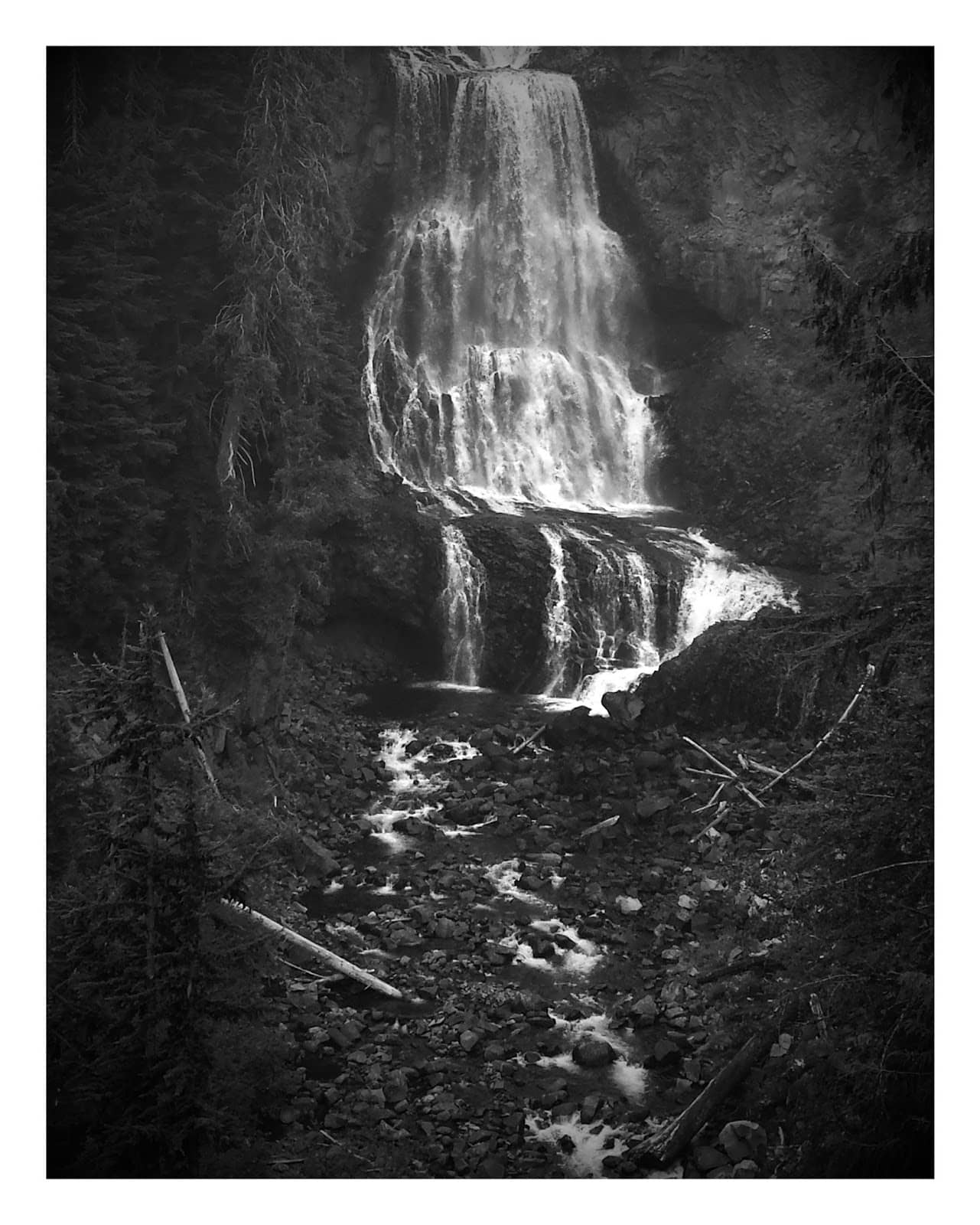 Vertical photo