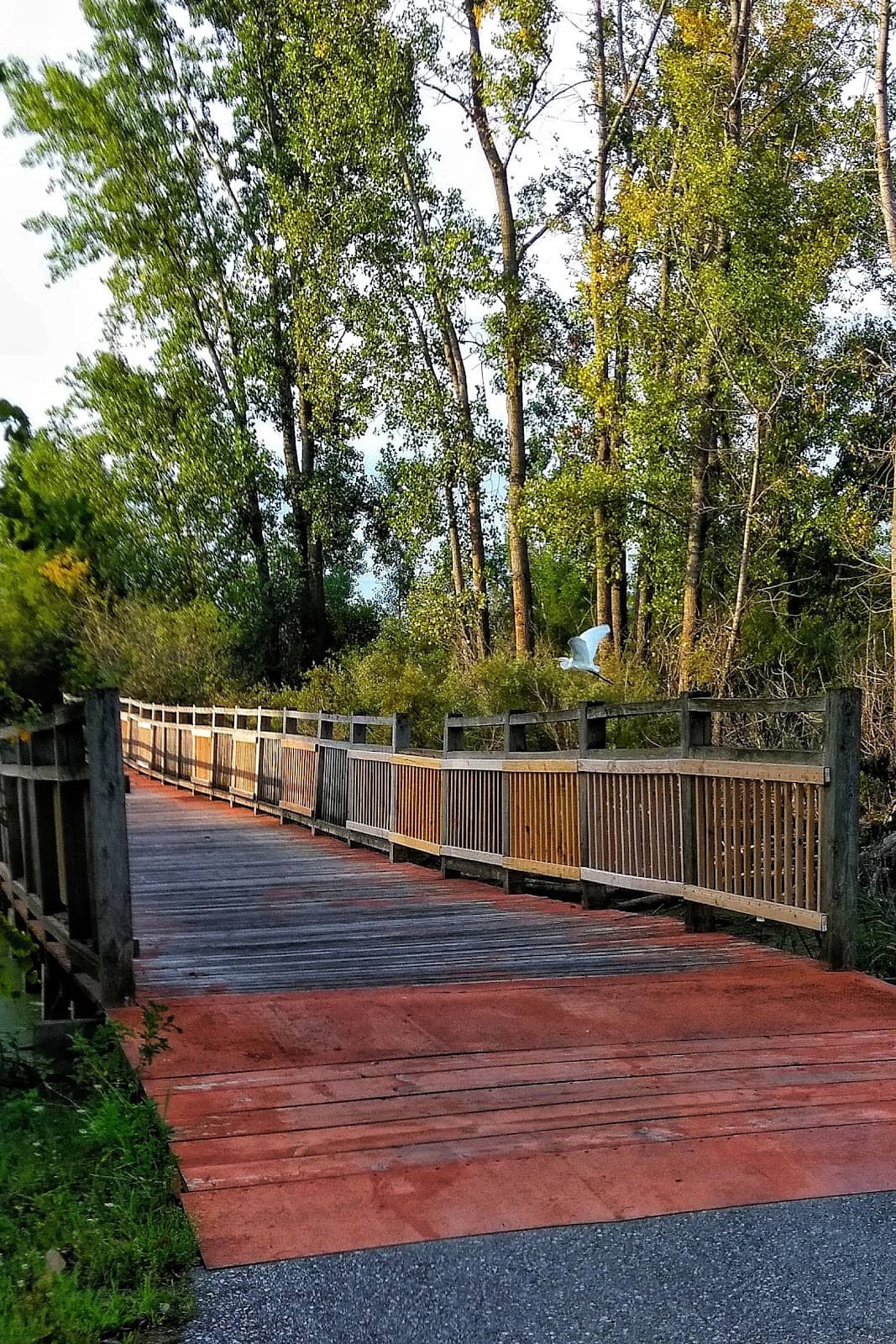 Chippewa River State Trail