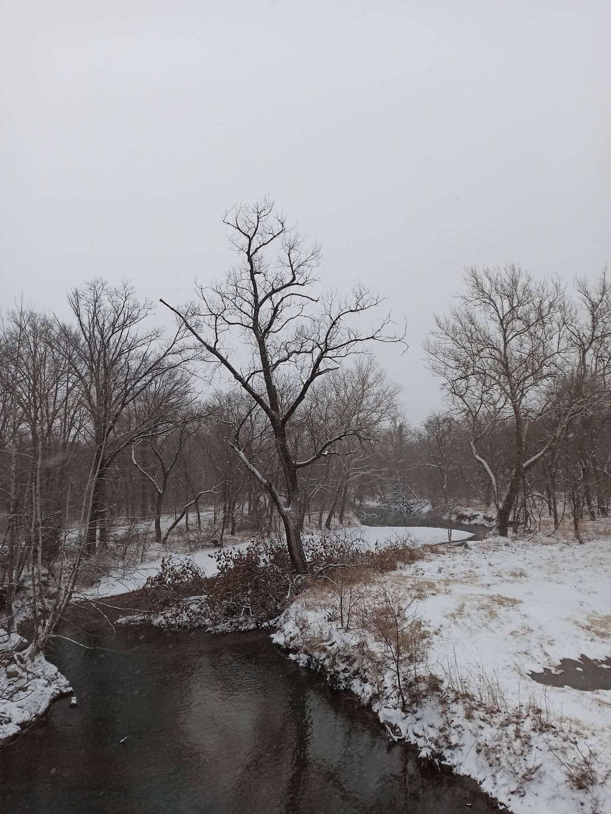 Nature Views