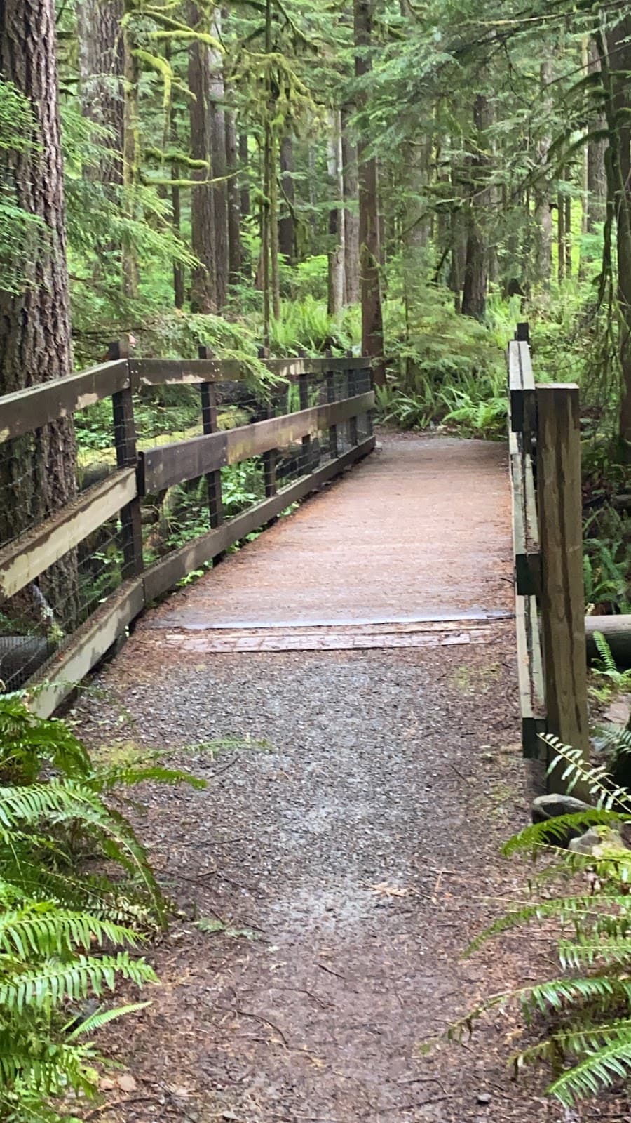 May Creek Trail - Image 1