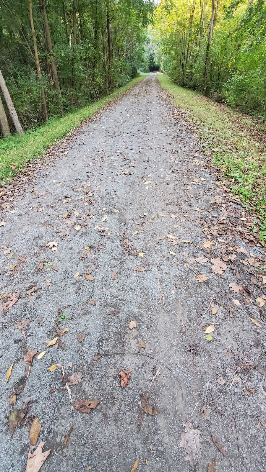 Mon River Trail South - Image 1