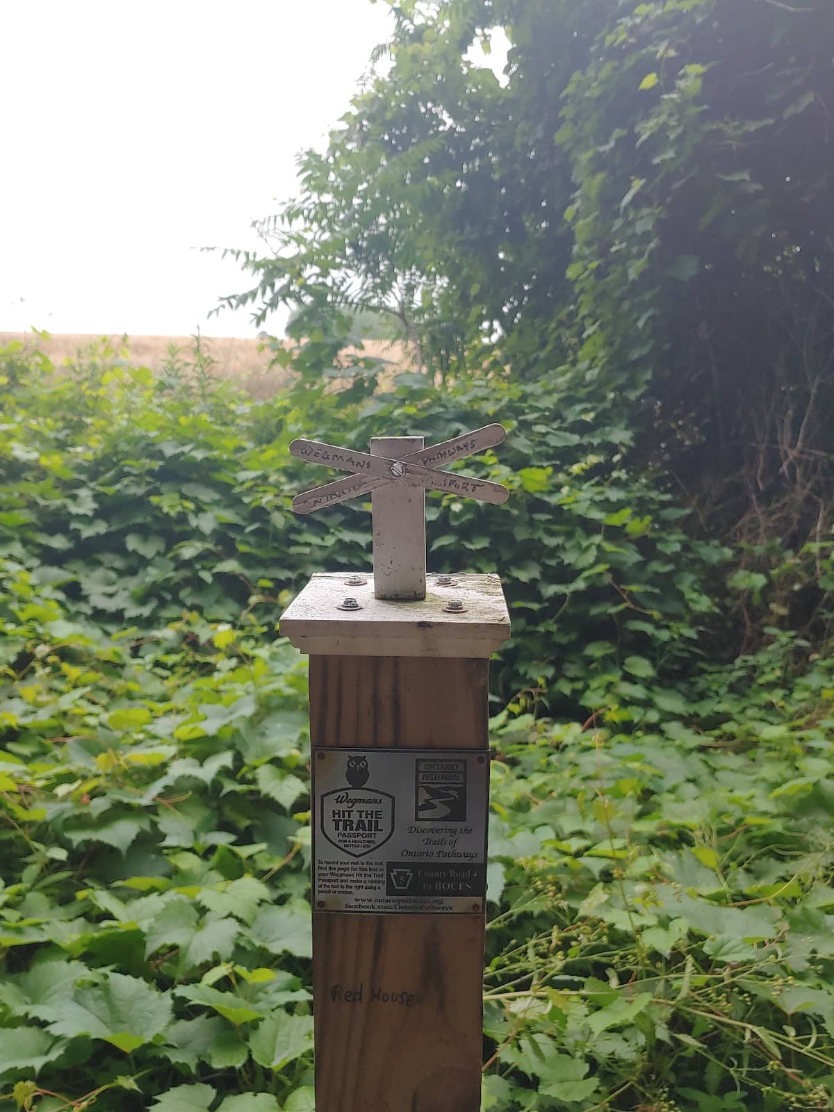 Vertical photo
