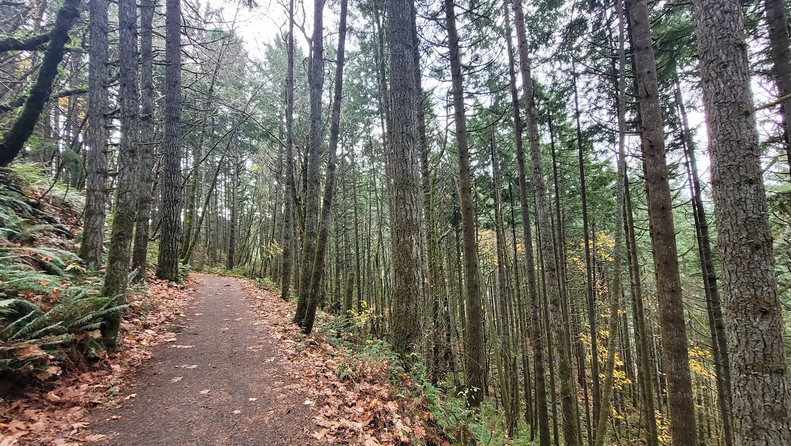 Ridgeline Trail - Image 1