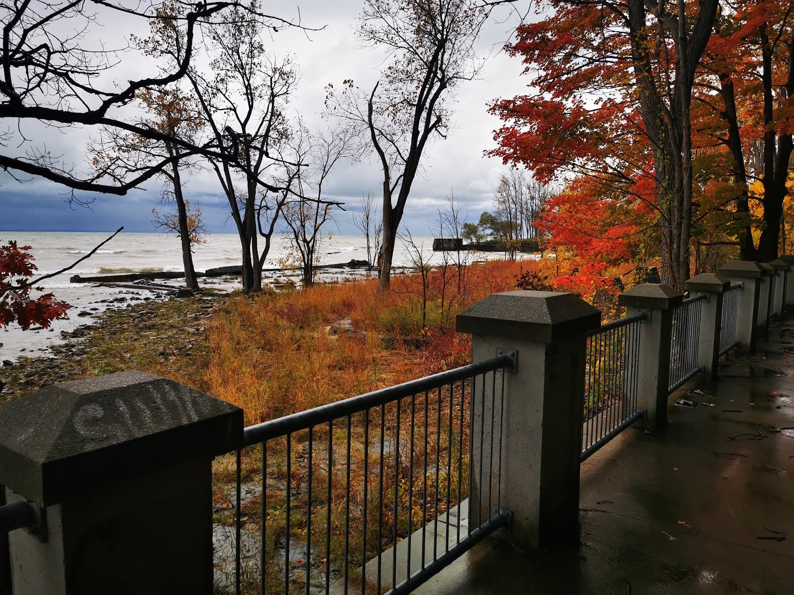 Friendship Trail - Image 1