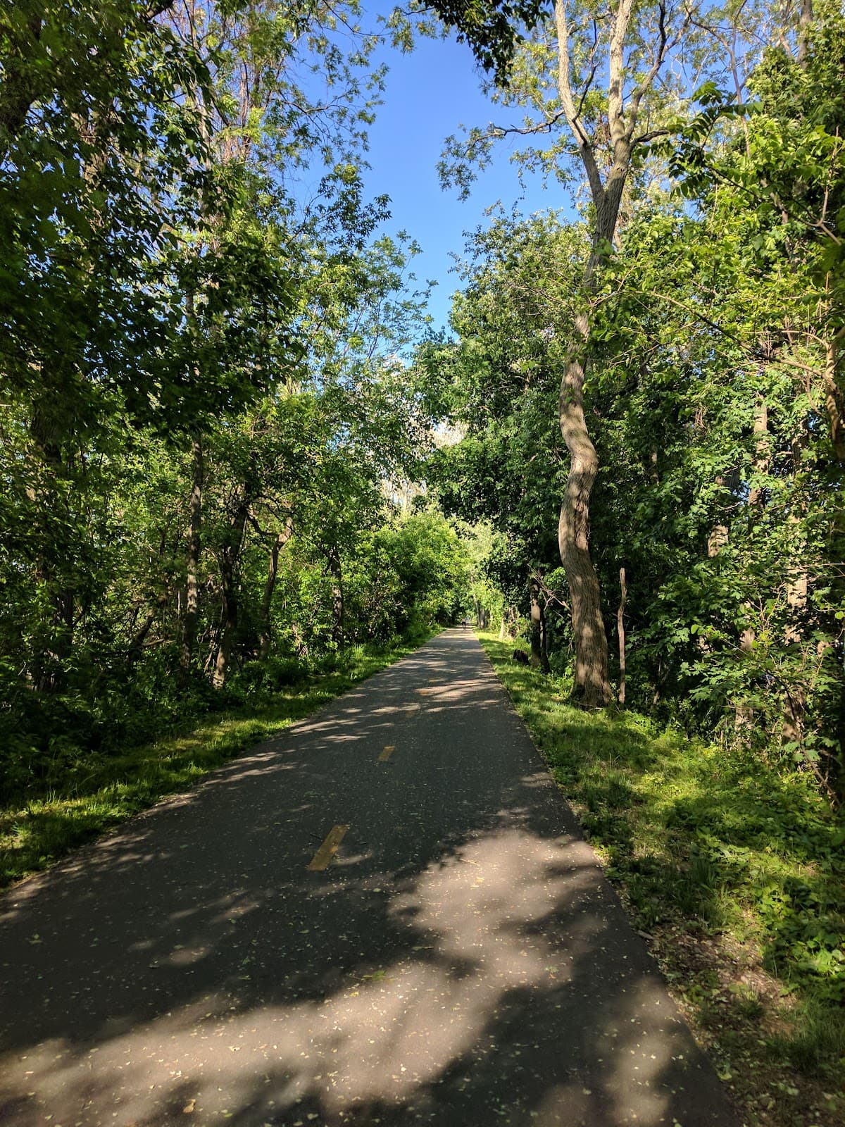 Norwottuck Rail Trail - Image 1