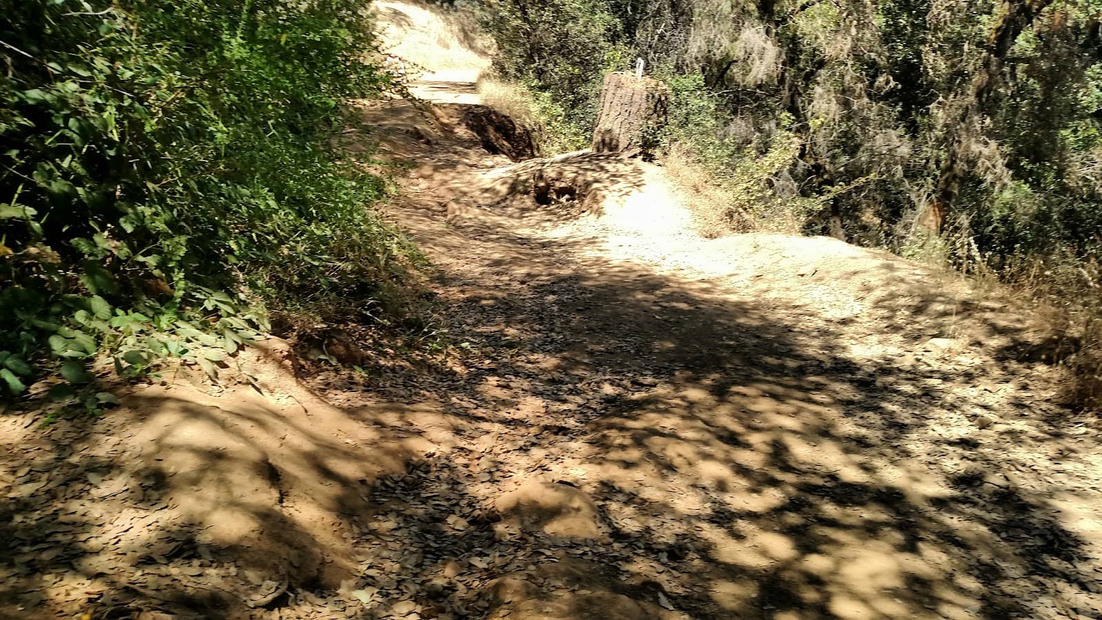 Vertical photo