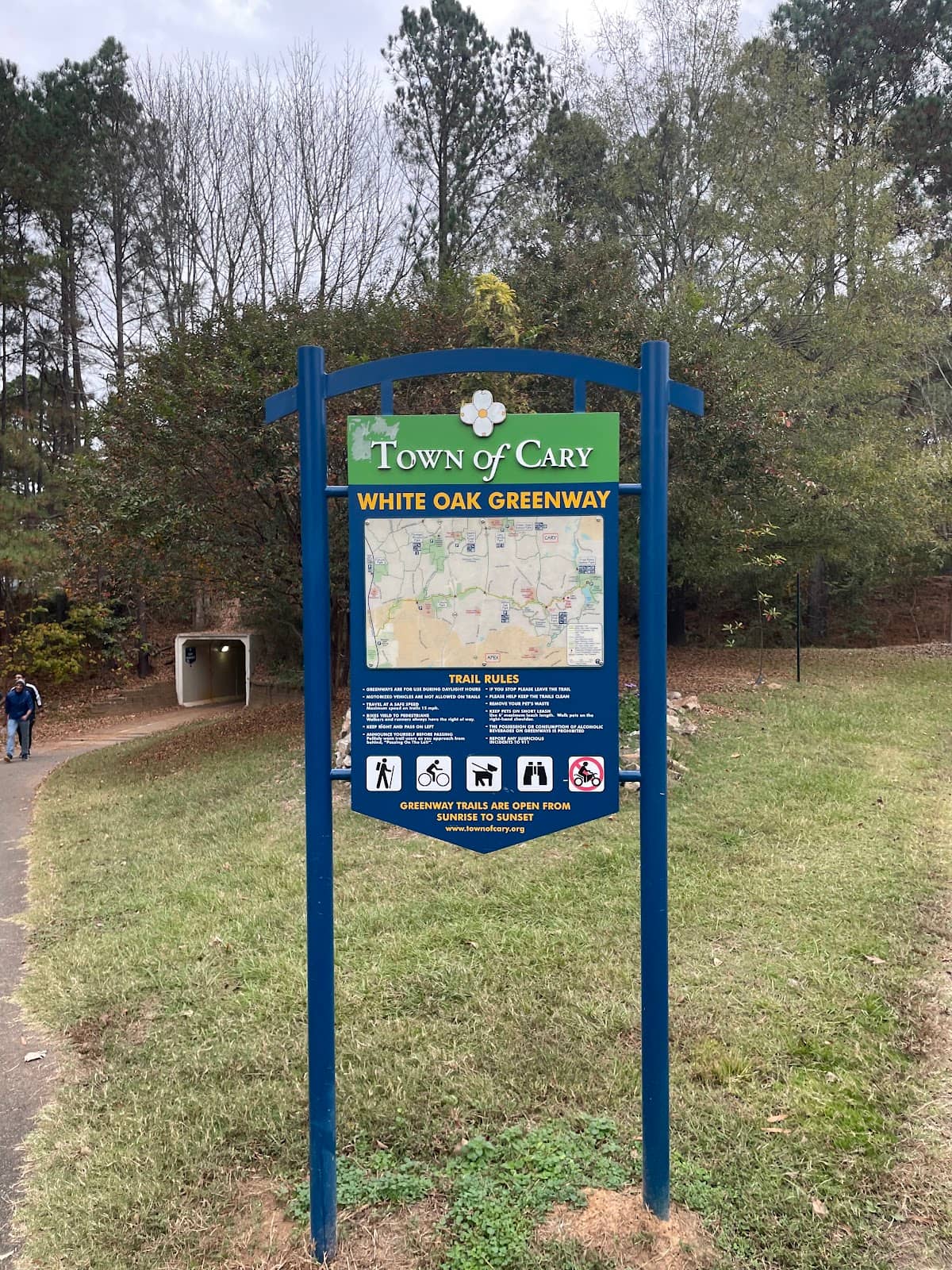 Barred Owl Sightings