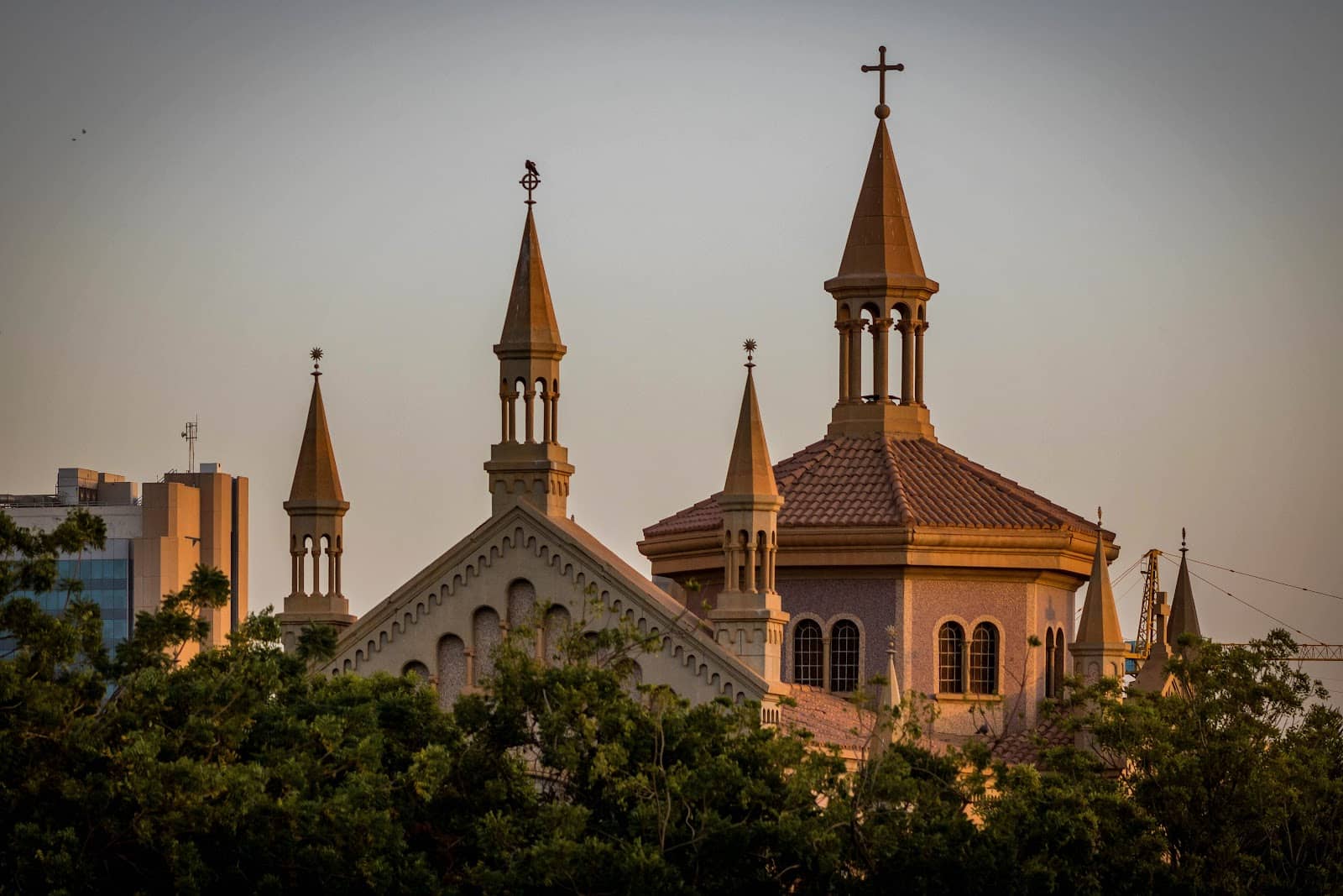 Local Life Observation