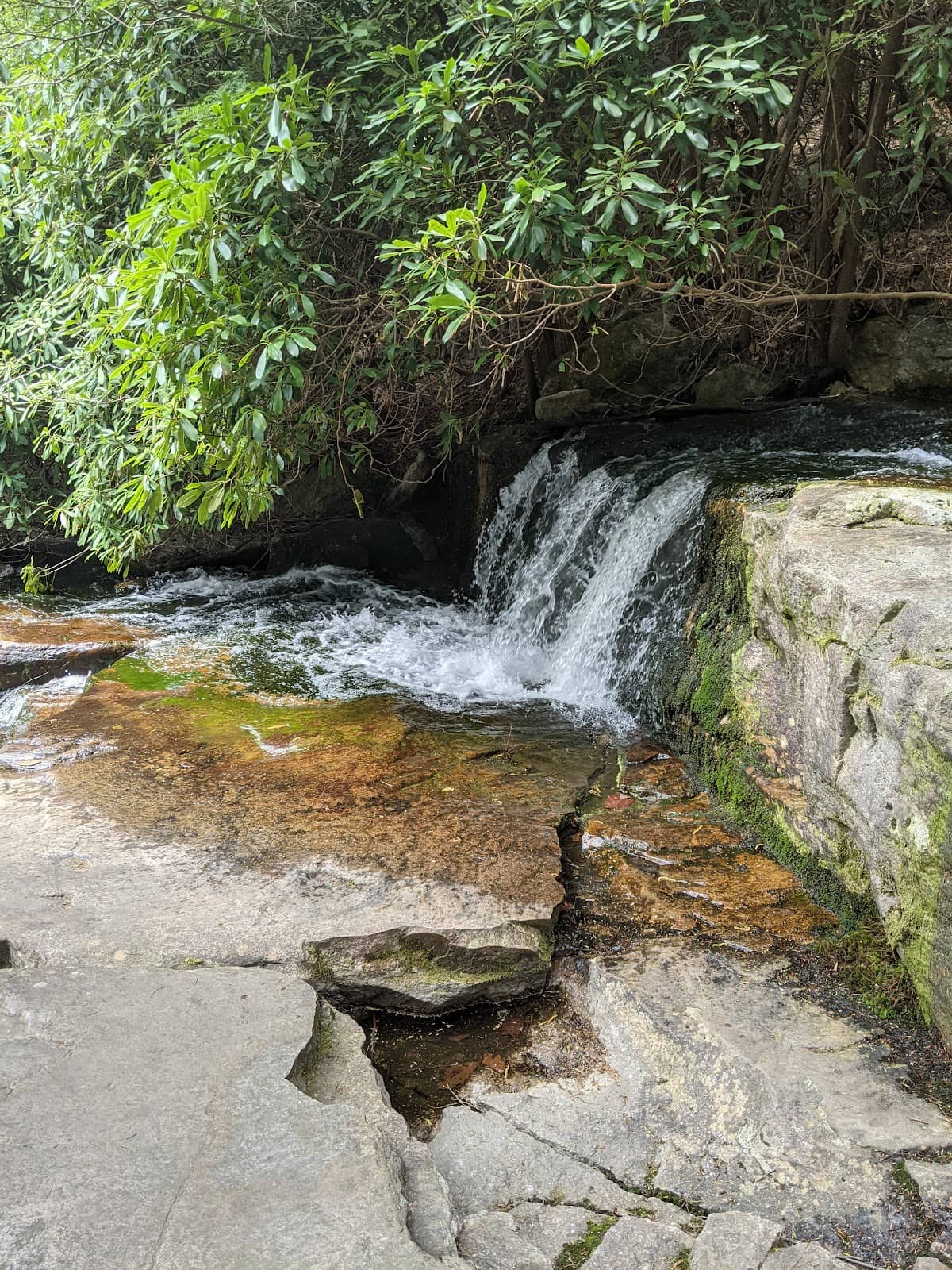 Vertical photo