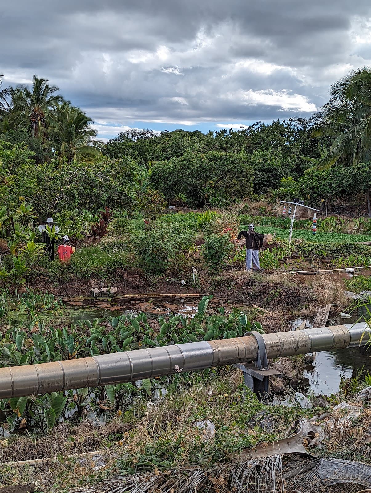 Pearl Harbor Bike Path - Image 1