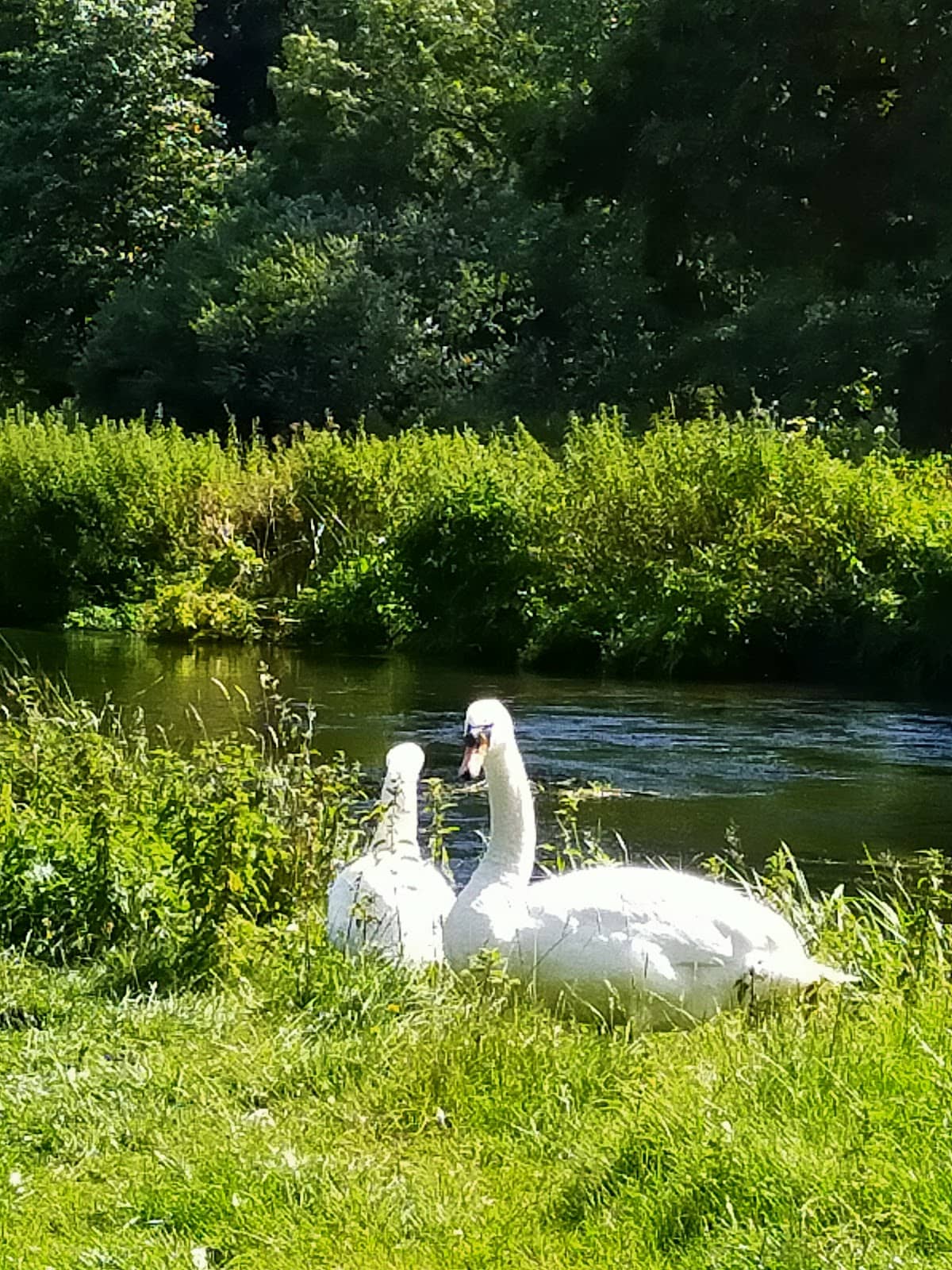 Saint Augustine's Abbey