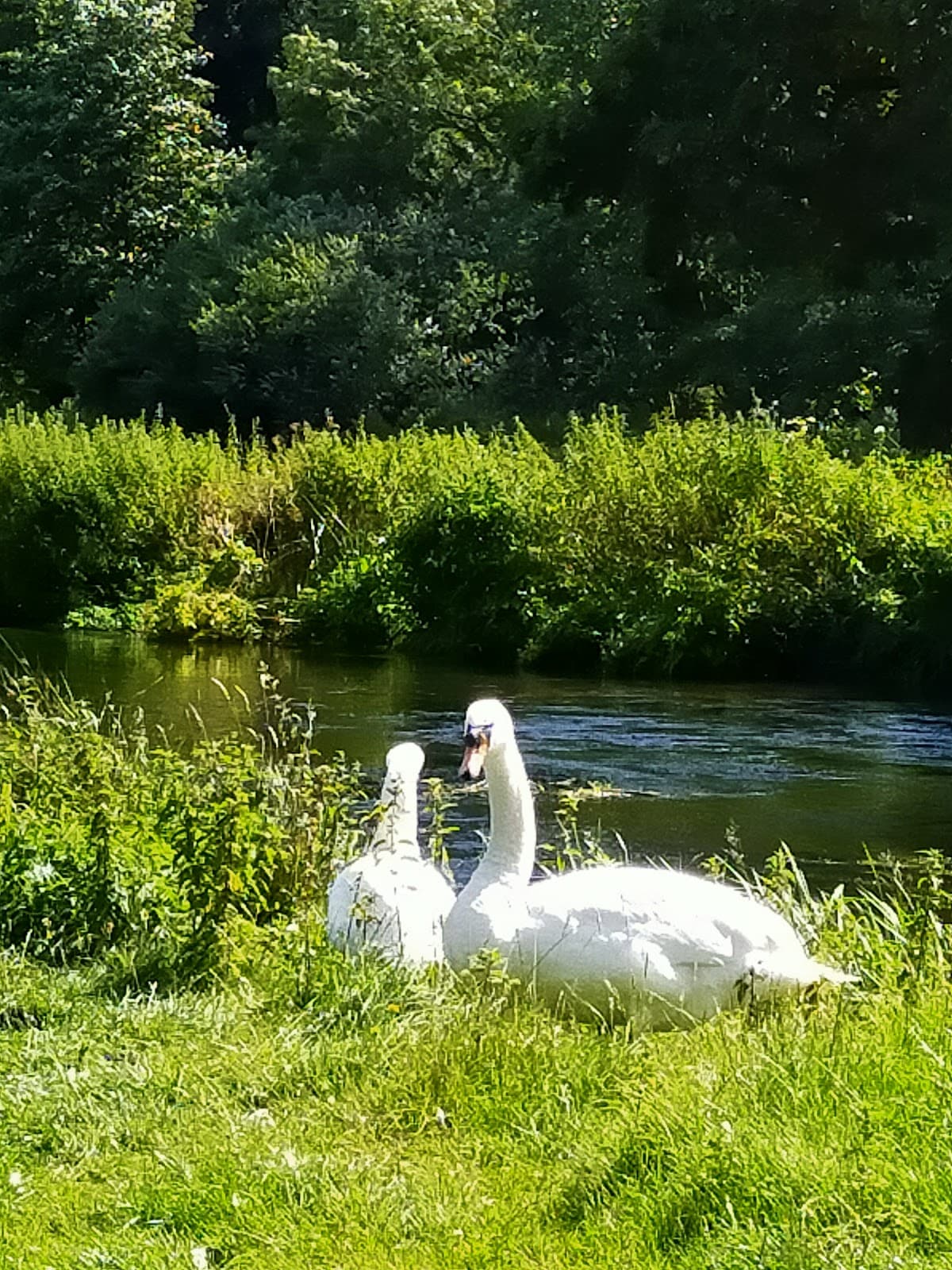 Great Stour Way - Image 1