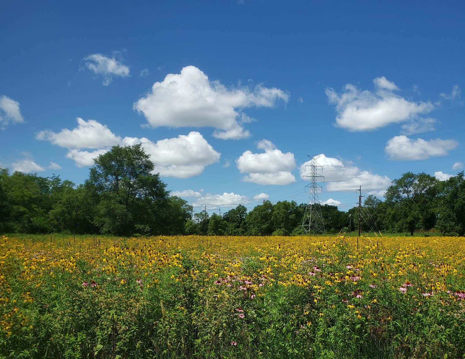 Sac & Fox Trail - Image 1