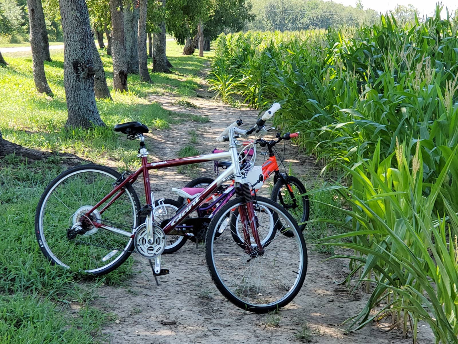 Bellefontaine to Urbana Stretch