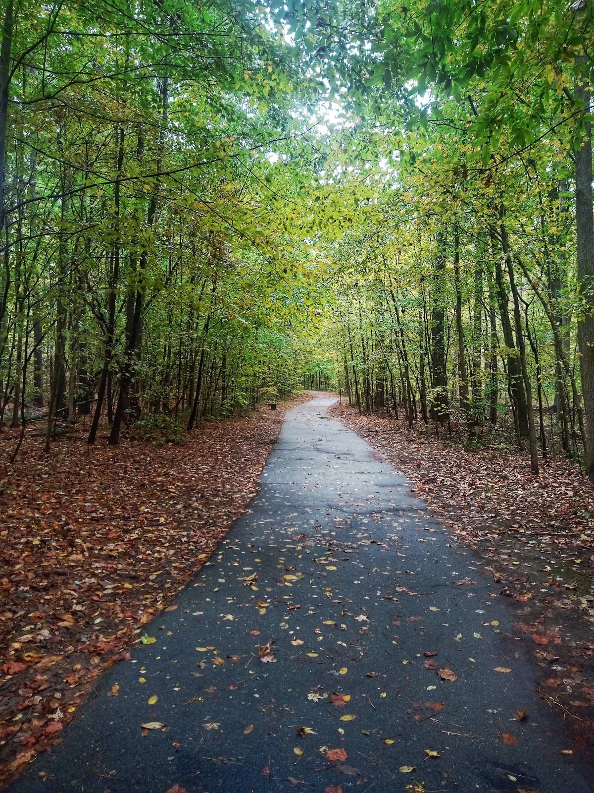 Scenic Nature Walk