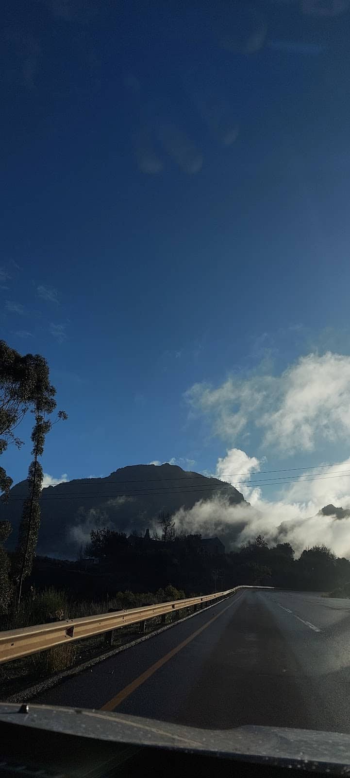 Alluvia Boutique Winery