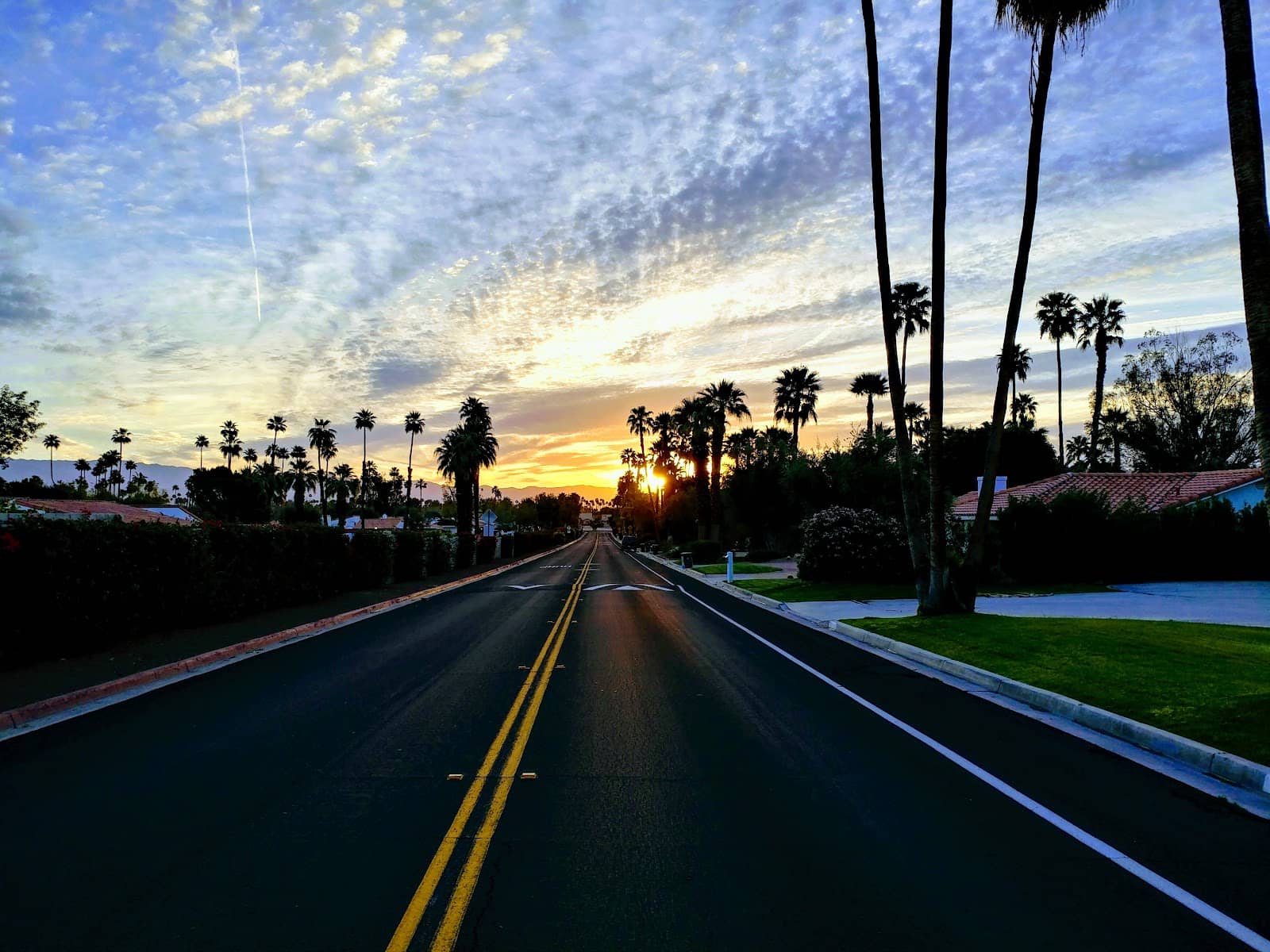 Mid-Century Modern Architecture