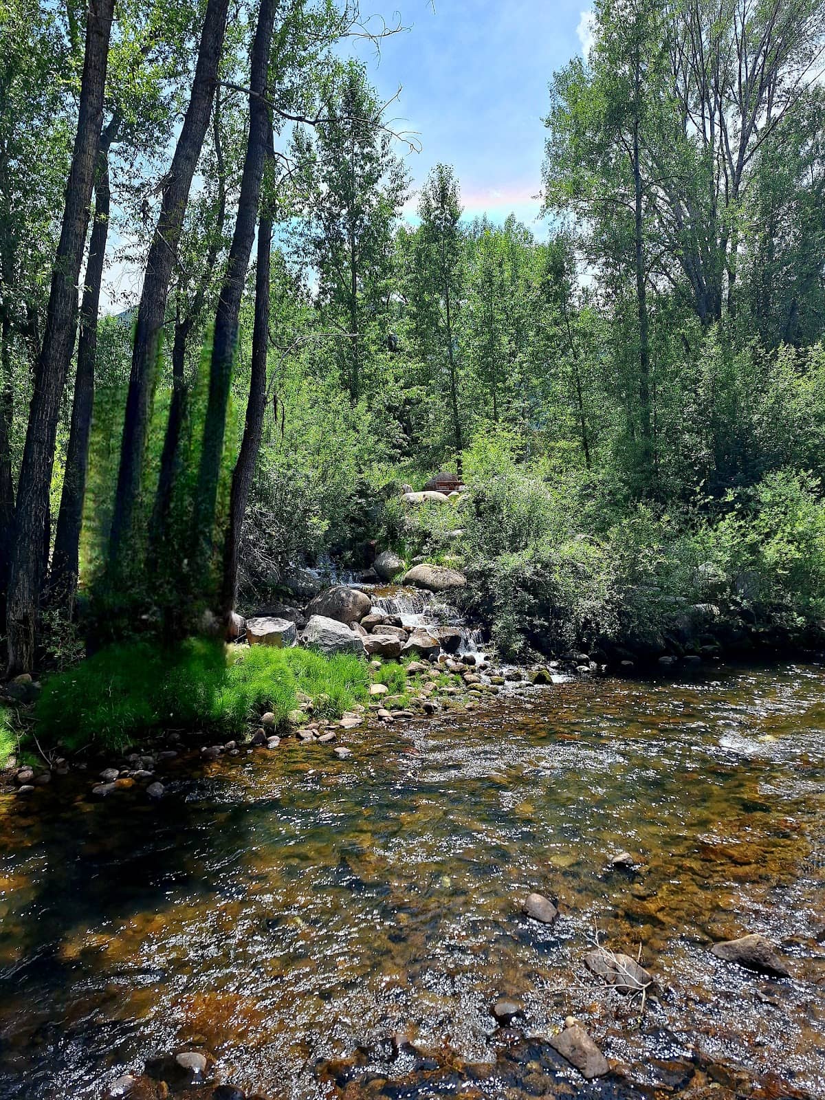 Rio Grande River Views