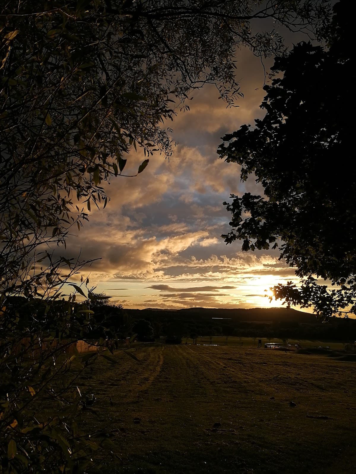 Saltburn Promenade - Image 1