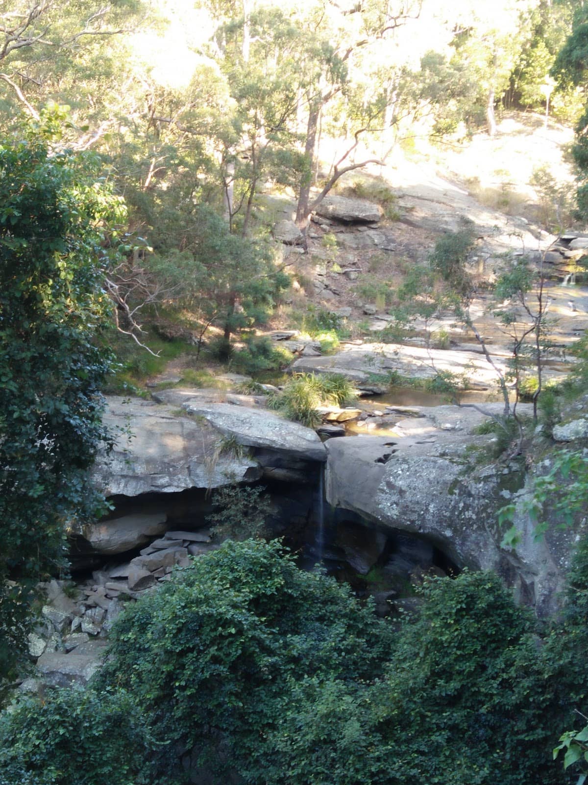 Vertical photo
