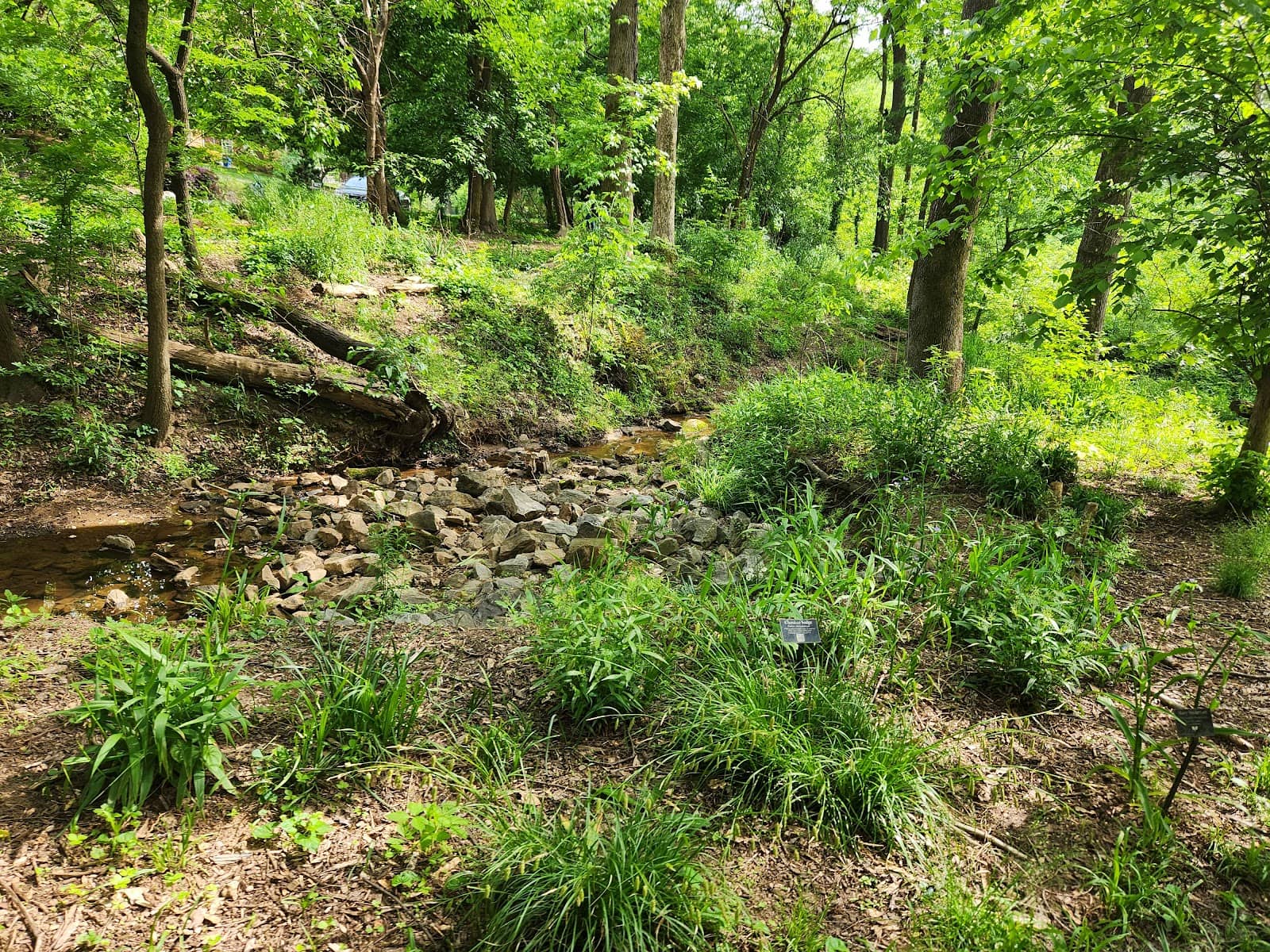 Nature Escape