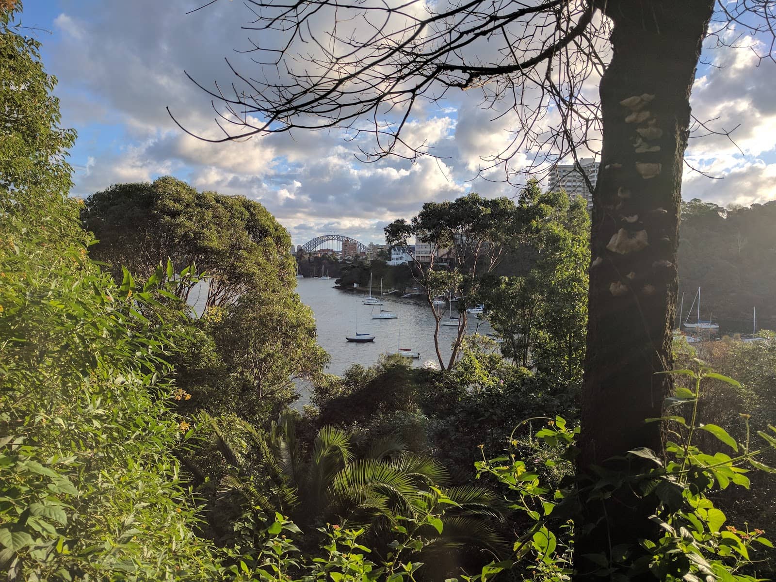 Middle Head to Georges Head Walk