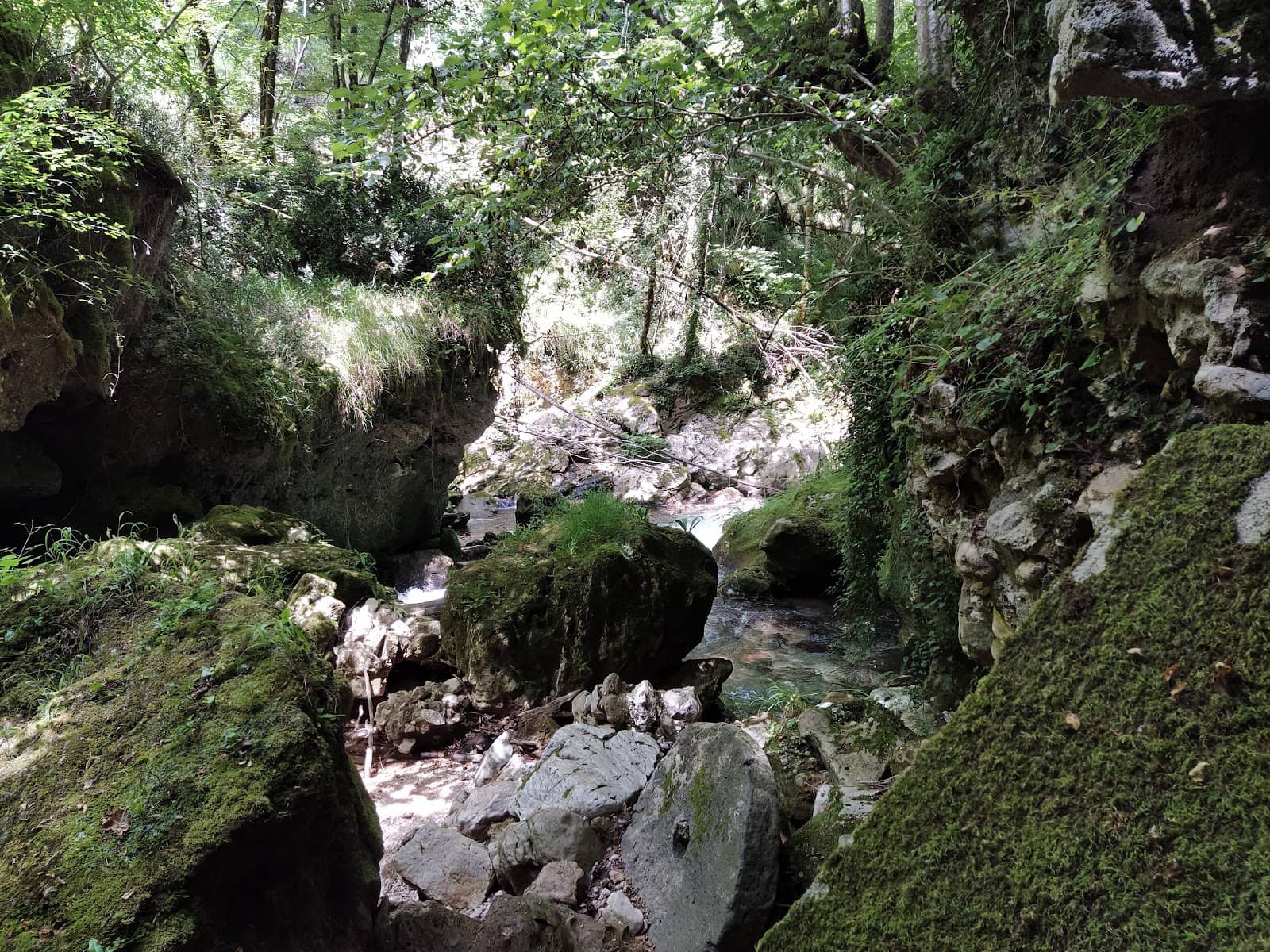 Rocky Path Trails