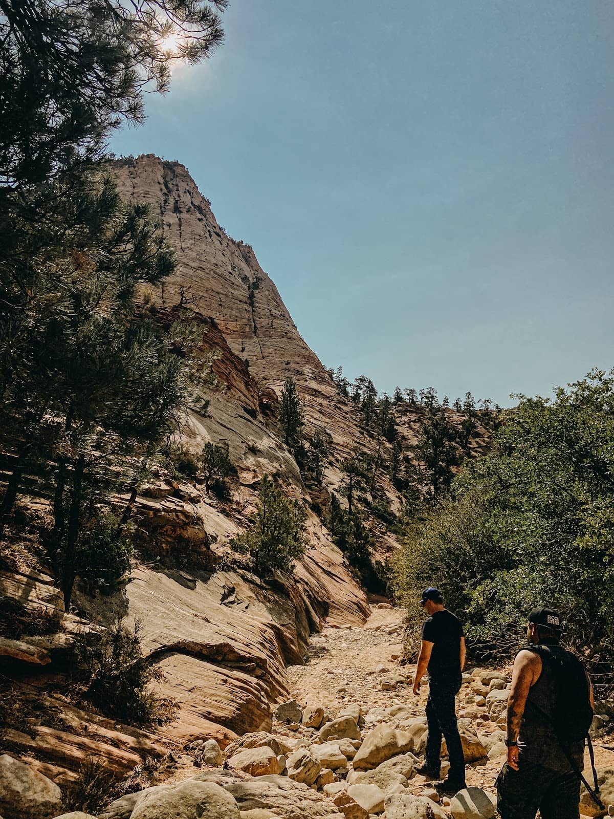 Vertical photo