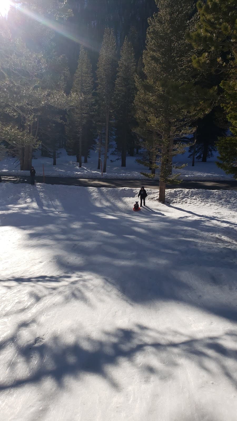 Mammoth Scenic Loop - Image 1