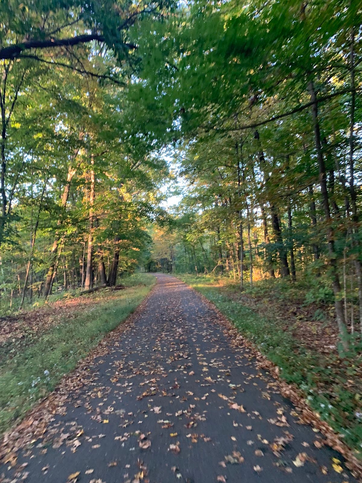 Nashua River Rail Trail - Image 1