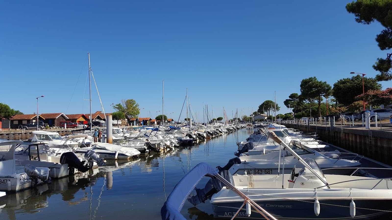 Picturesque Port Scenery