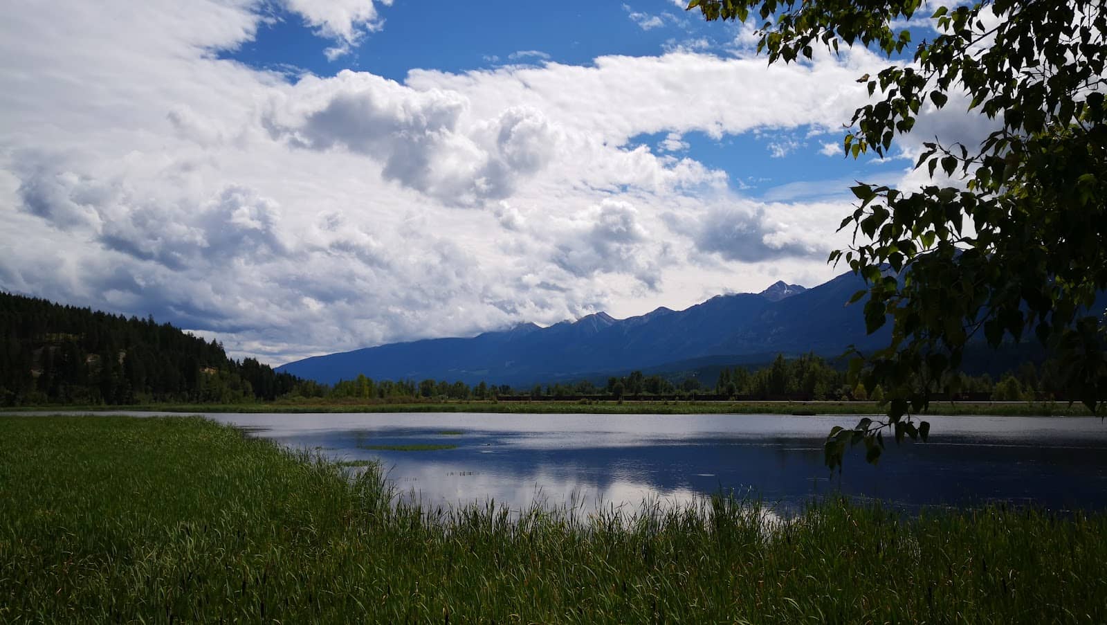 Tranquil Nature Setting