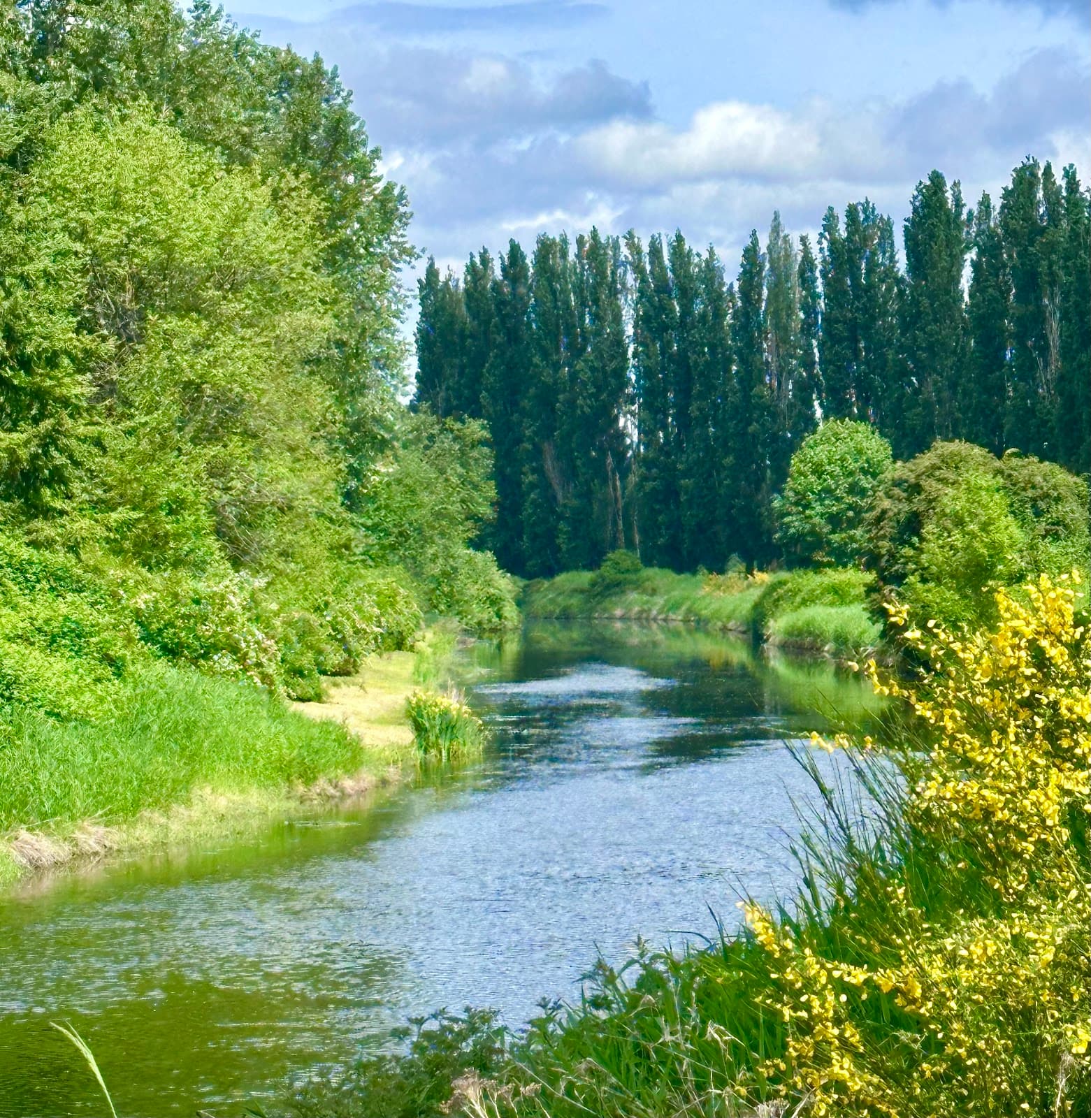 Sammamish River Trail - Image 1