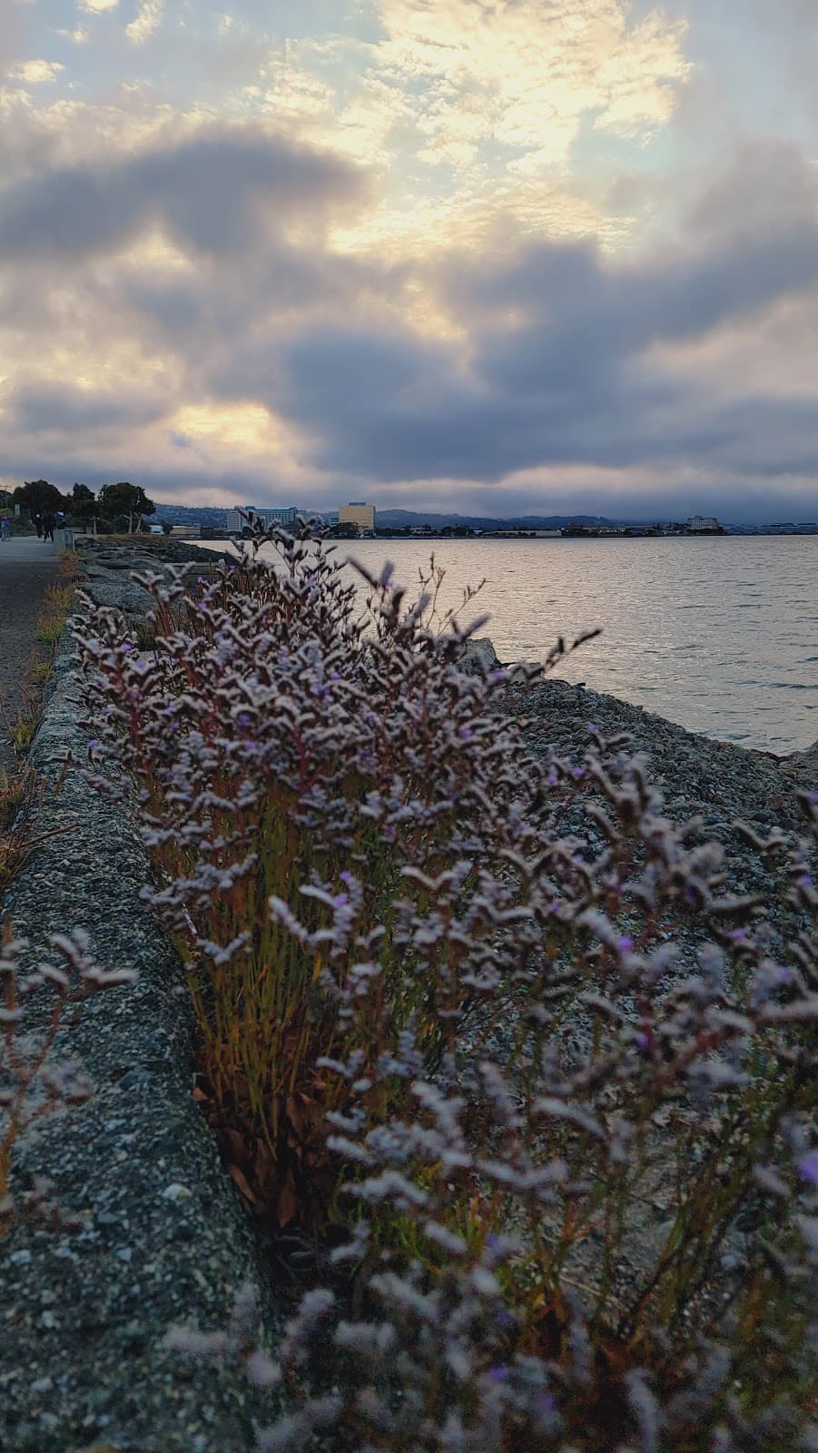 San Francisco Bay Trail (San Mateo) - Image 1