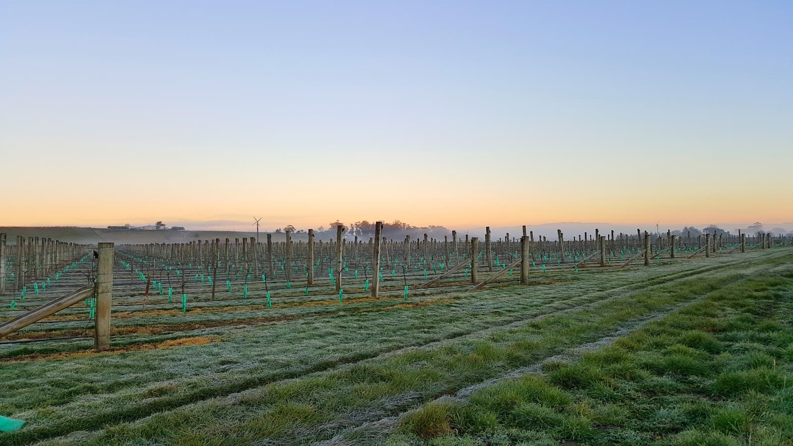 Tuki Tuki Valley - Image 1