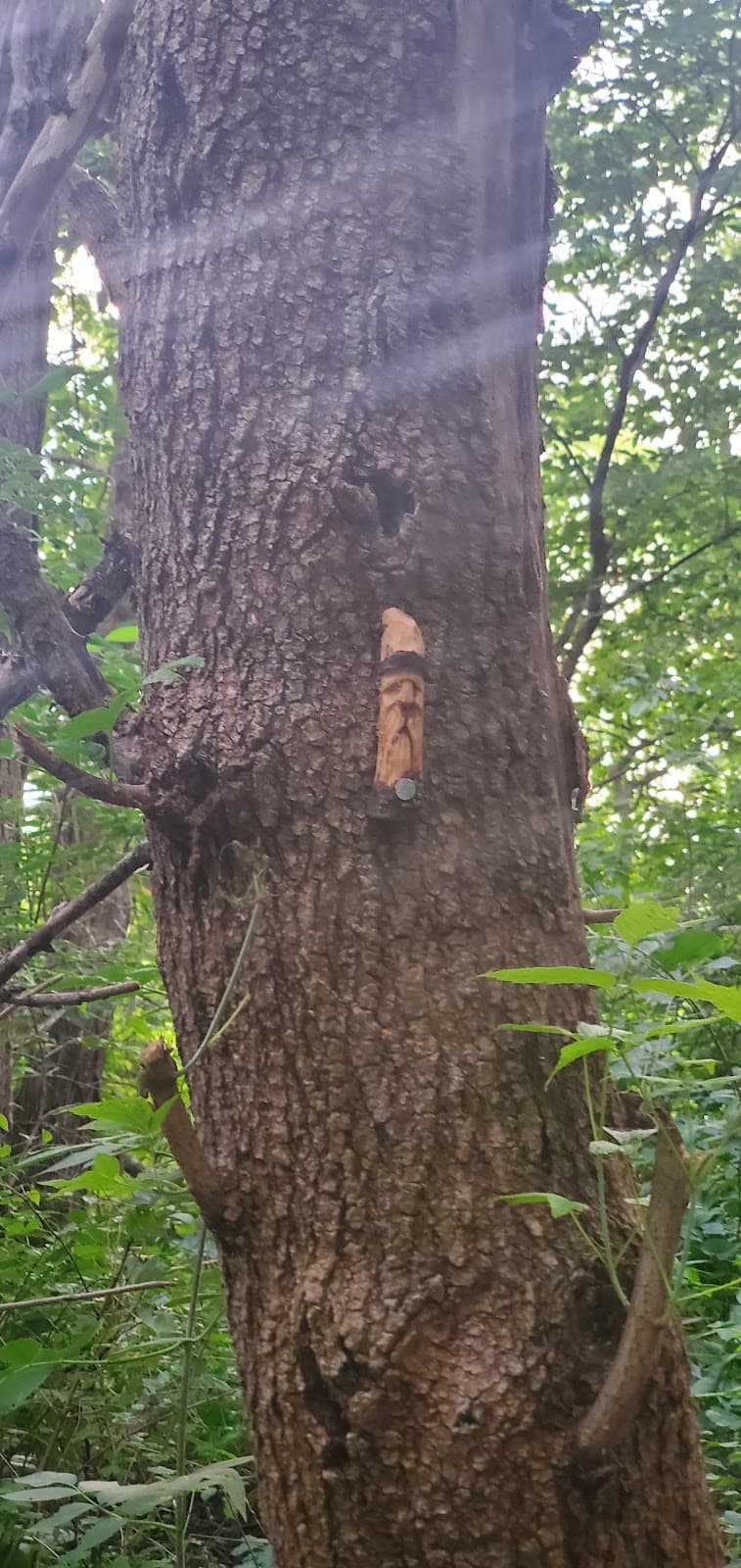 Virgil Gilman Trail - Image 1