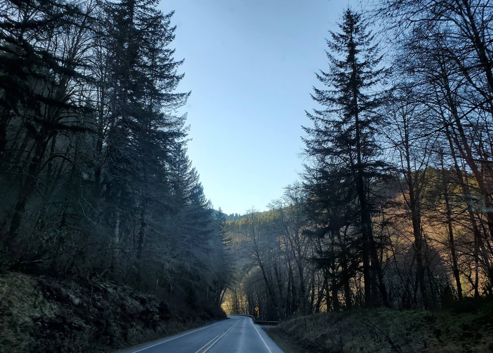 Wilson River Trail - Image 1