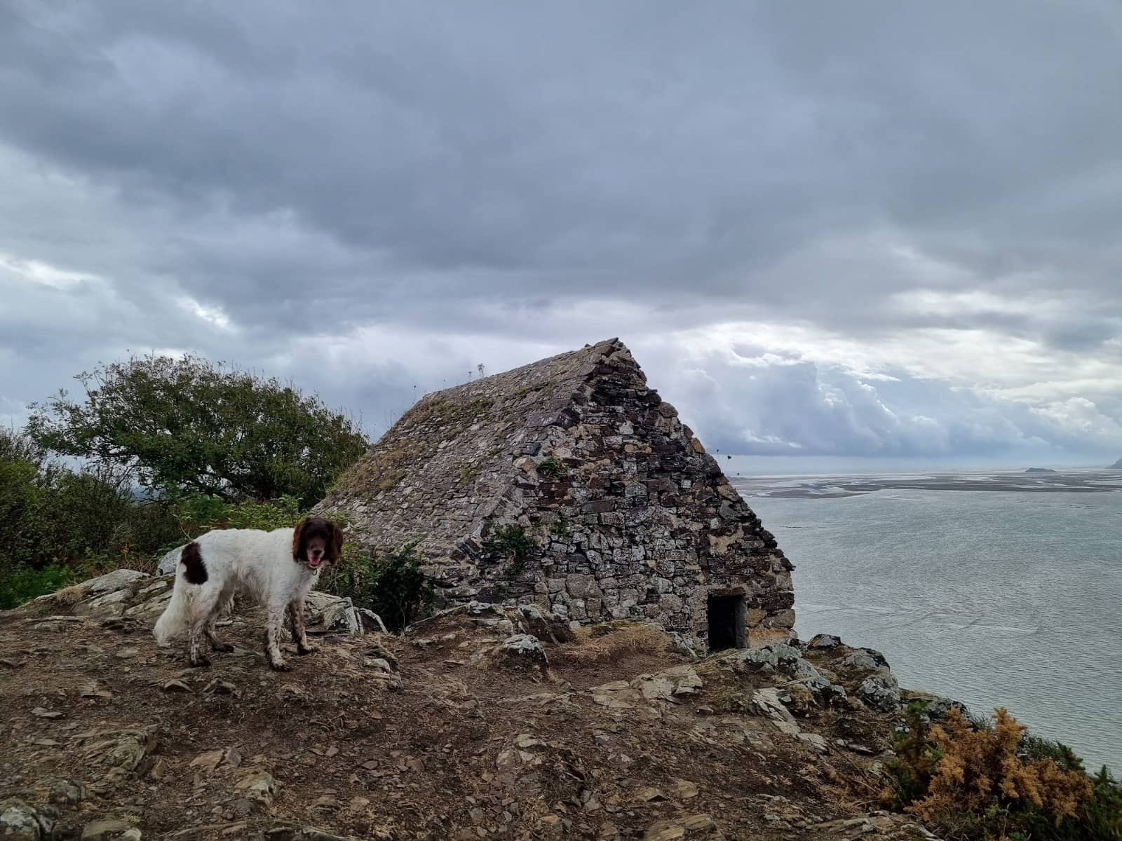 Panoramic Ocean Vistas