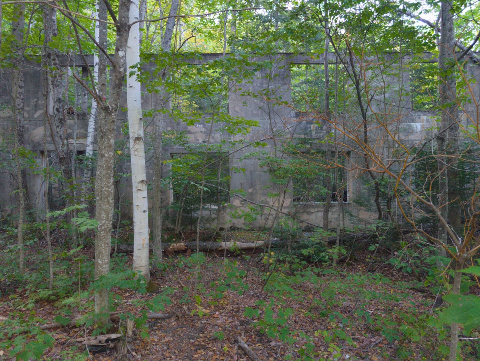 Foliage Season Spectacle