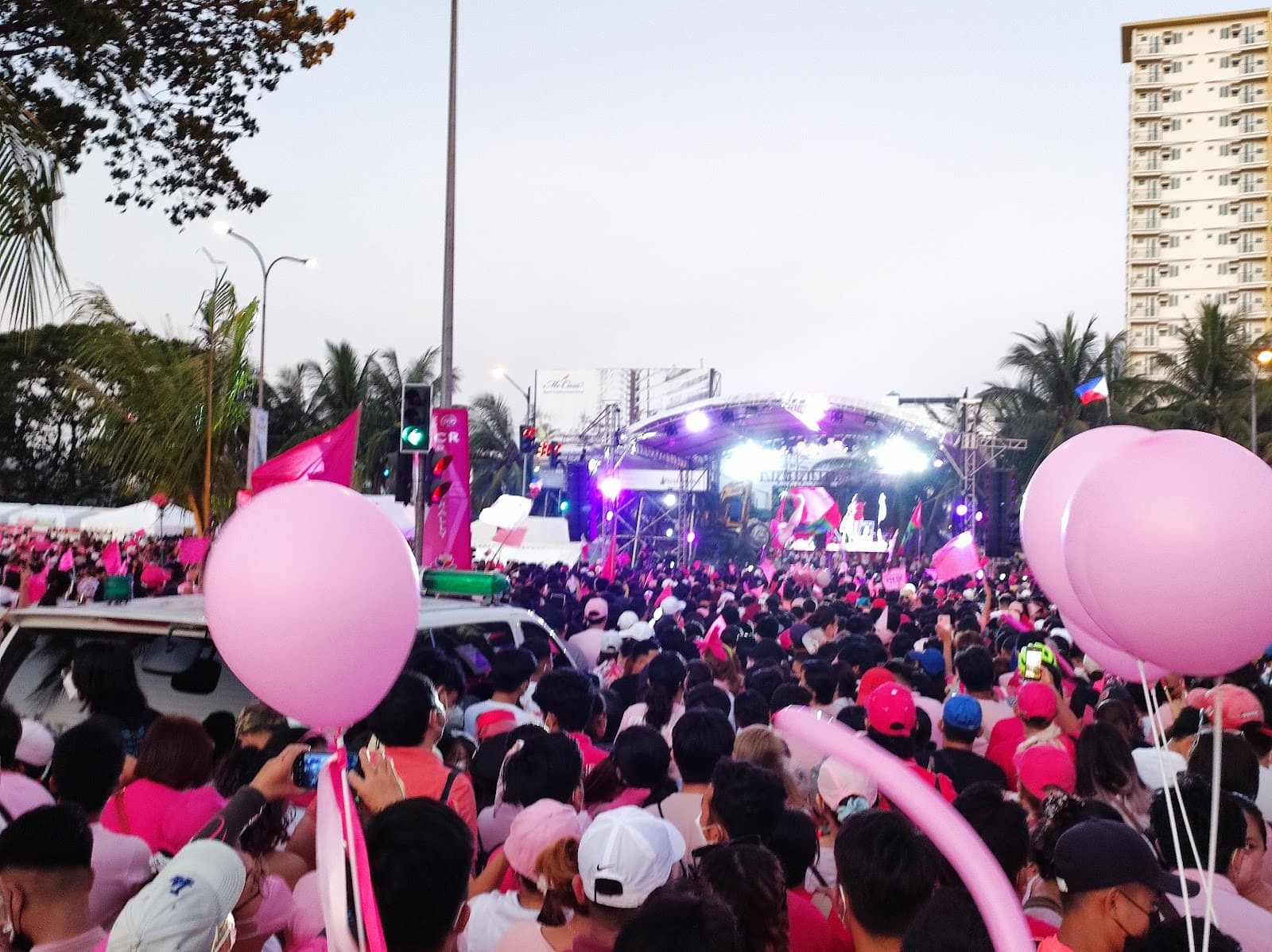 Diosdado Macapagal Boulevard - Image 1