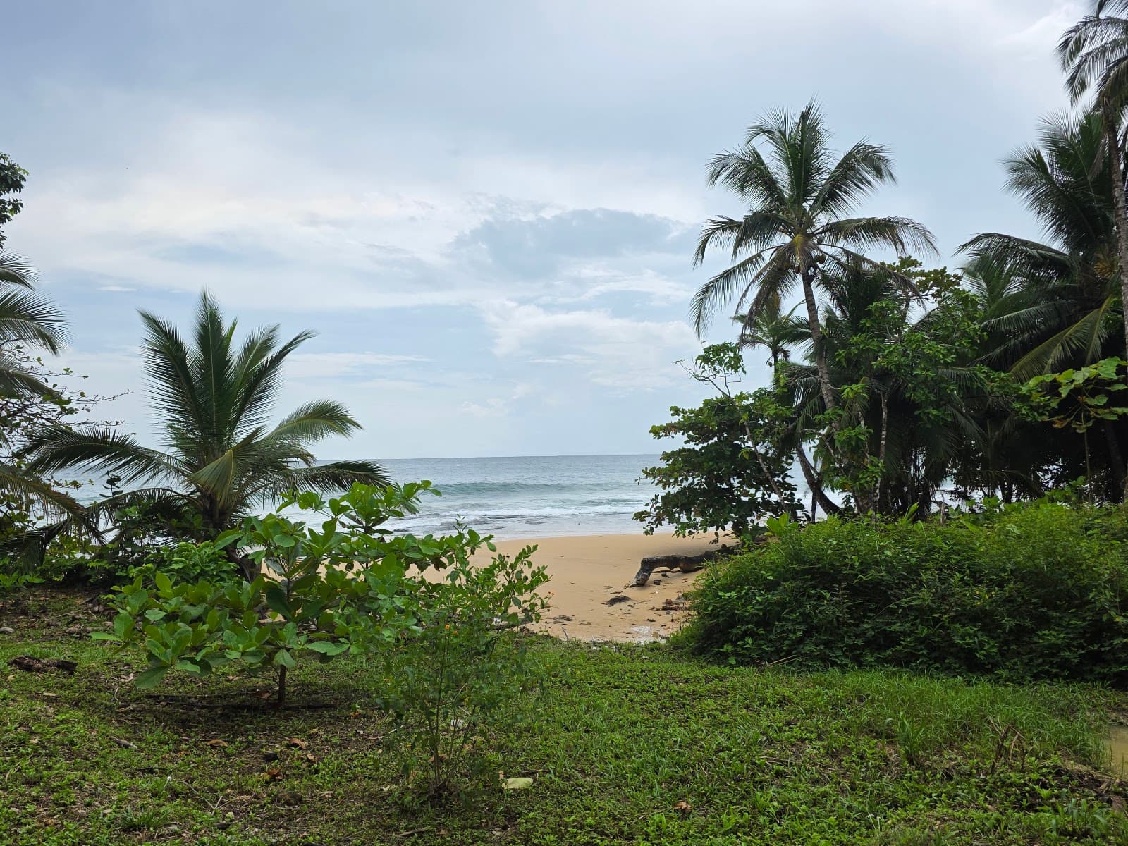 Bluff Beach - Image 1